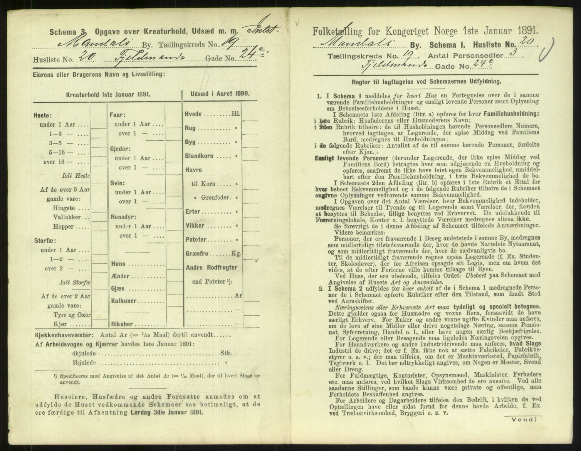 RA, Folketelling 1891 for 1002 Mandal ladested, 1891, s. 893