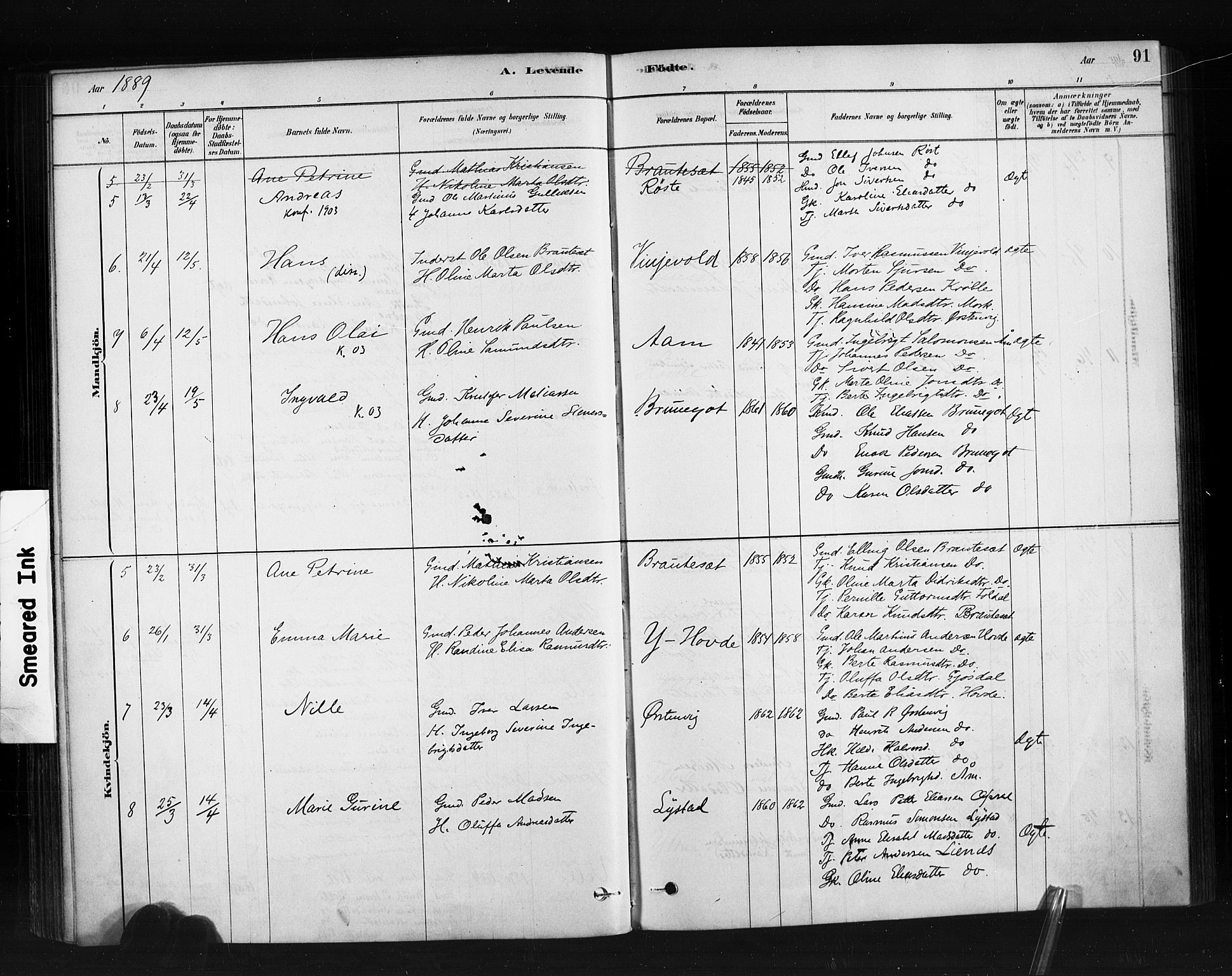 Ministerialprotokoller, klokkerbøker og fødselsregistre - Møre og Romsdal, AV/SAT-A-1454/513/L0176: Ministerialbok nr. 513A03, 1877-1889, s. 91
