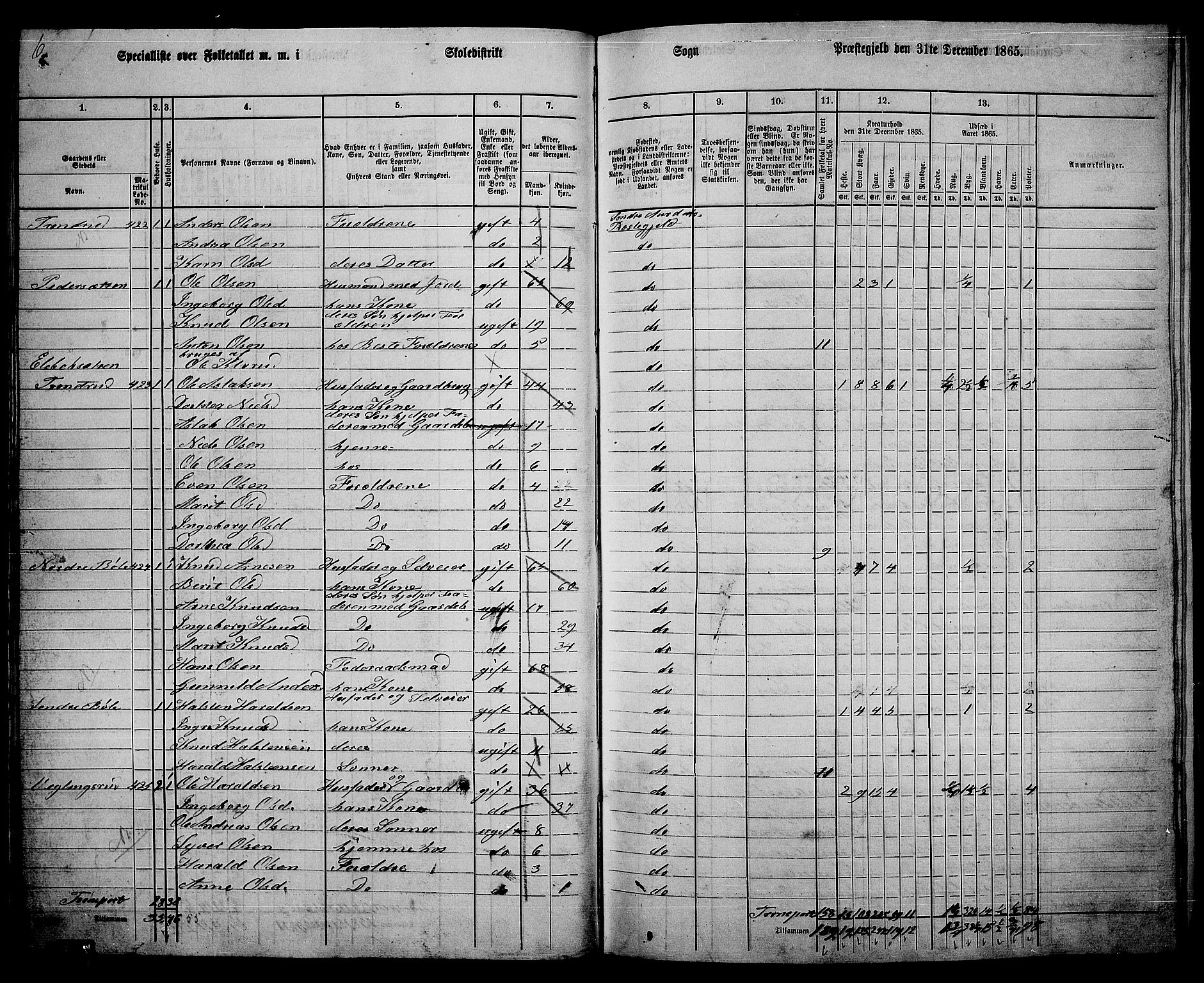 RA, Folketelling 1865 for 0540P Sør-Aurdal prestegjeld, 1865, s. 54