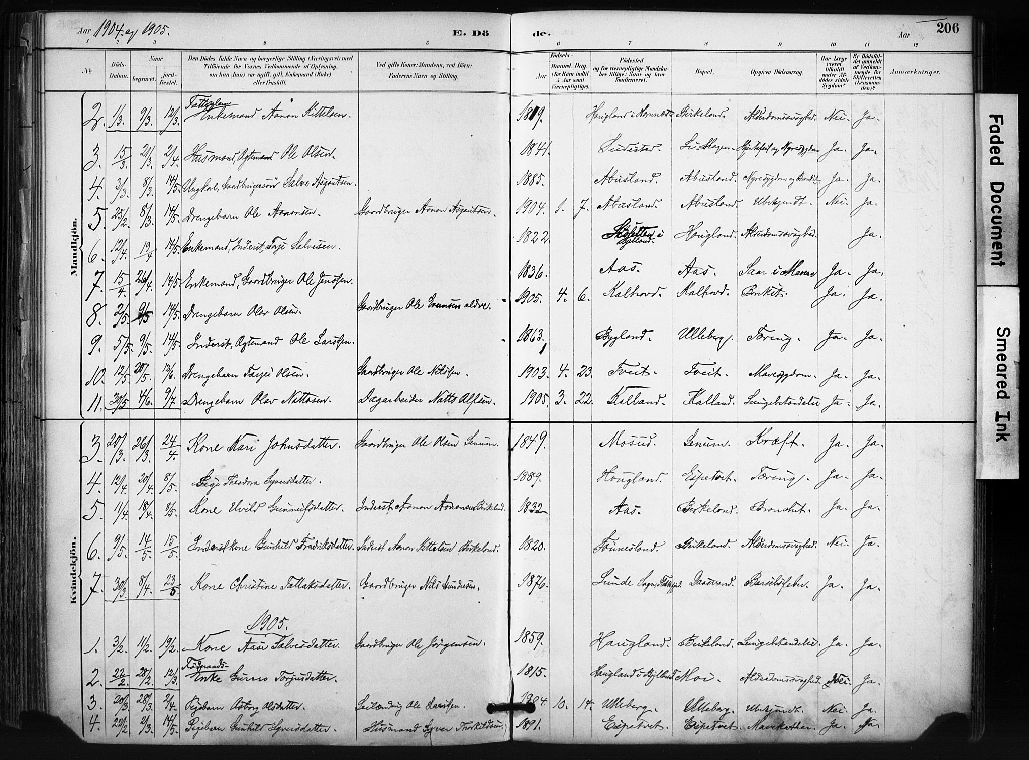 Evje sokneprestkontor, AV/SAK-1111-0008/F/Fa/Fab/L0003: Ministerialbok nr. A 3, 1884-1909, s. 206
