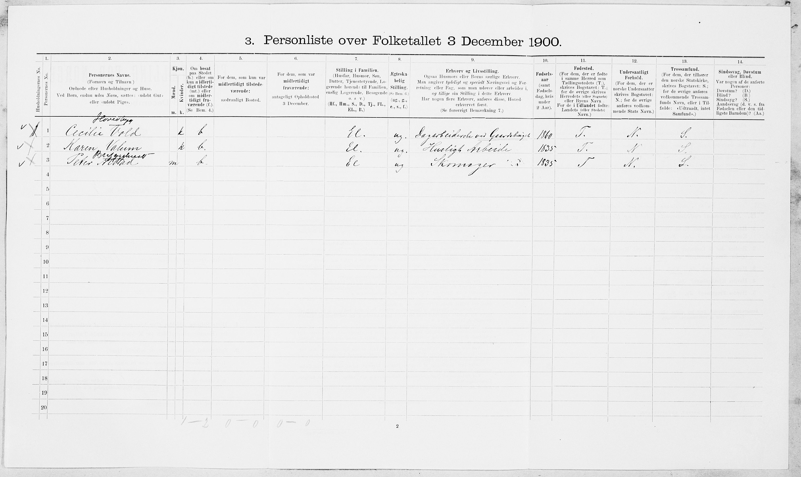 SAT, Folketelling 1900 for 1719 Skogn herred, 1900, s. 306