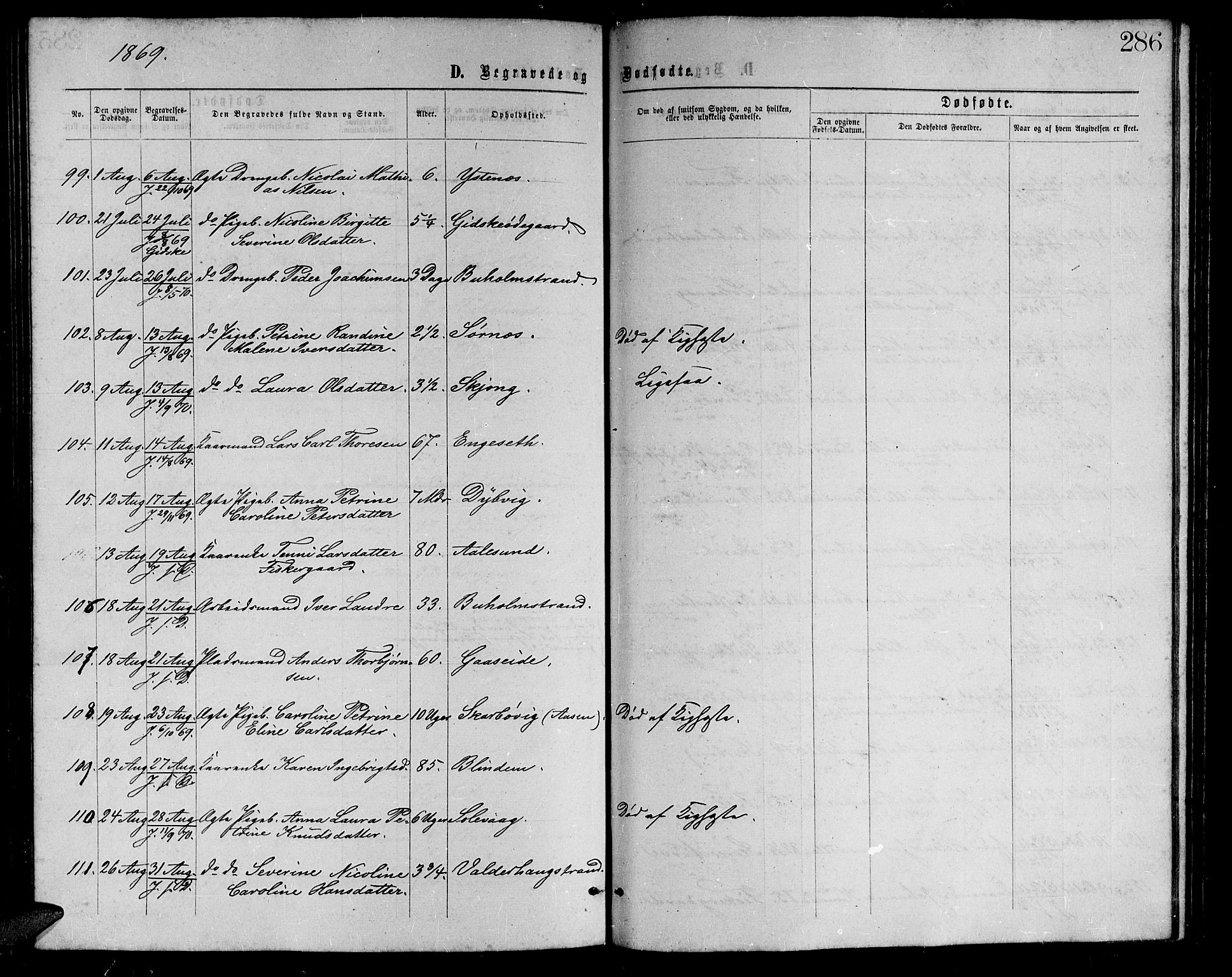 Ministerialprotokoller, klokkerbøker og fødselsregistre - Møre og Romsdal, AV/SAT-A-1454/528/L0428: Klokkerbok nr. 528C09, 1864-1880, s. 286