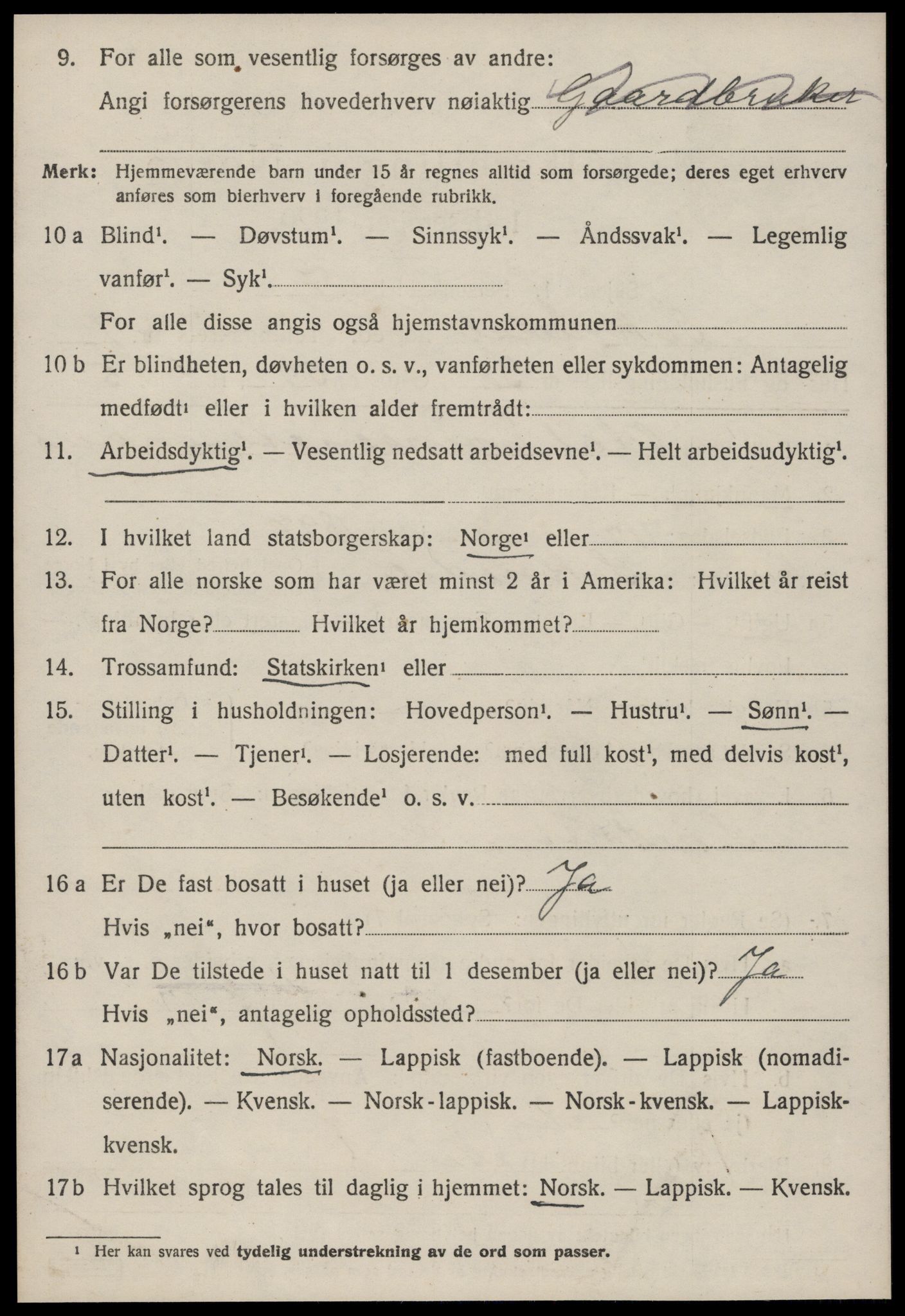 SAT, Folketelling 1920 for 1649 Soknedal herred, 1920, s. 3737