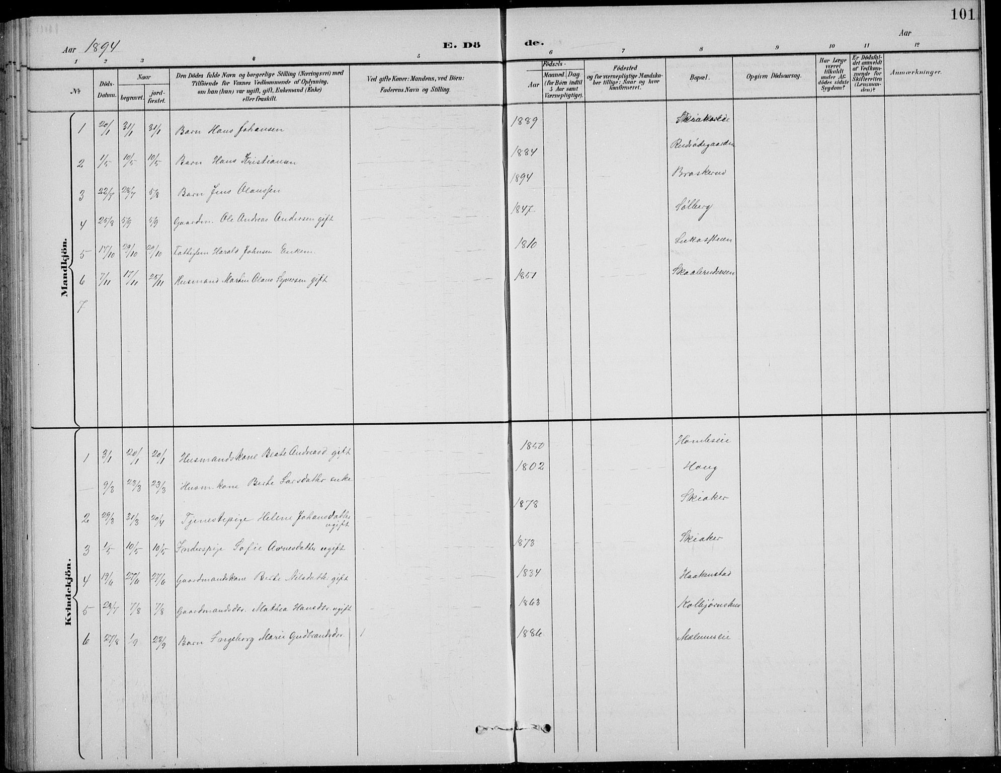 Nordre Land prestekontor, AV/SAH-PREST-124/H/Ha/Hab/L0014: Klokkerbok nr. 14, 1891-1907, s. 101