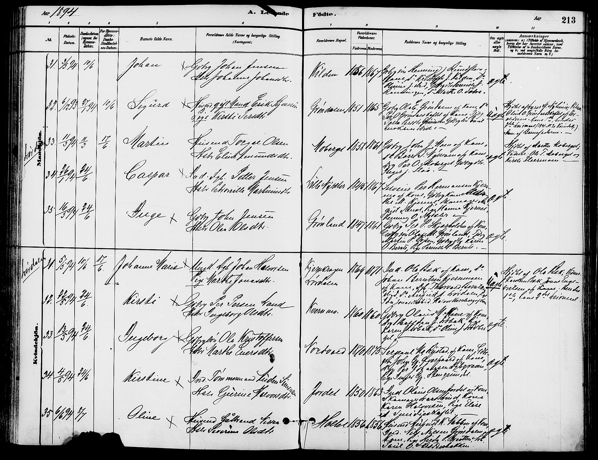 Trysil prestekontor, AV/SAH-PREST-046/H/Ha/Haa/L0008: Ministerialbok nr. 8, 1881-1897, s. 213