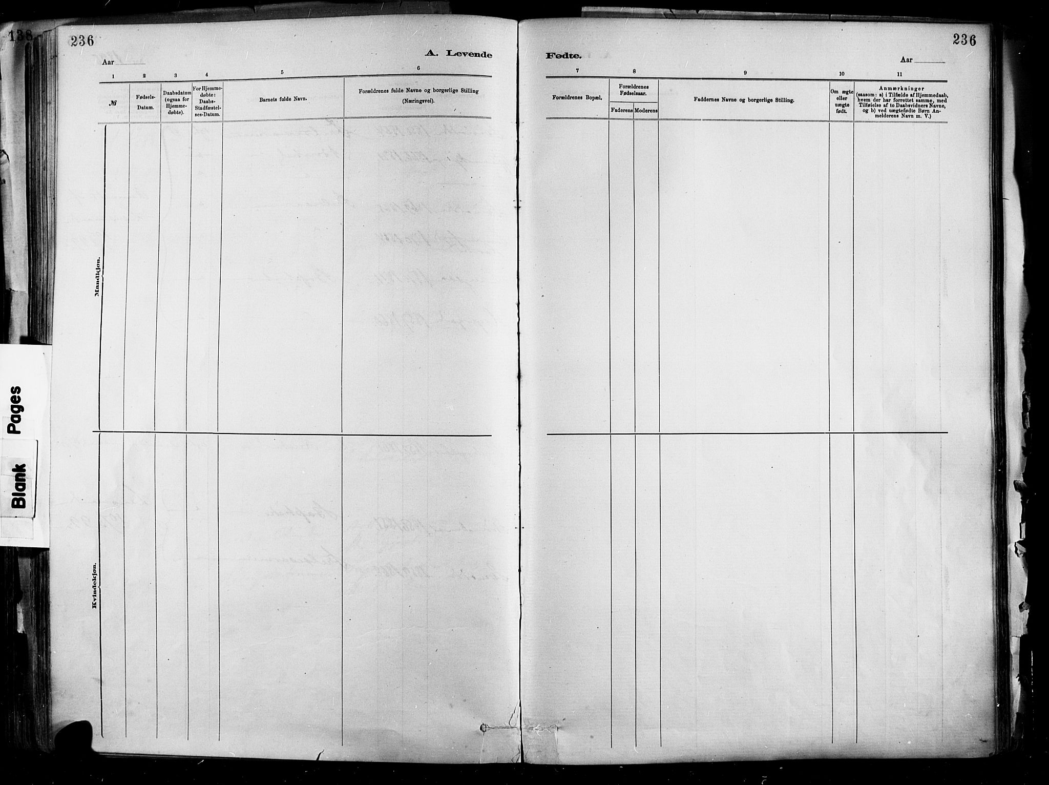 Barbu sokneprestkontor, SAK/1111-0003/F/Fa/L0002: Ministerialbok nr. A 2, 1883-1898, s. 236