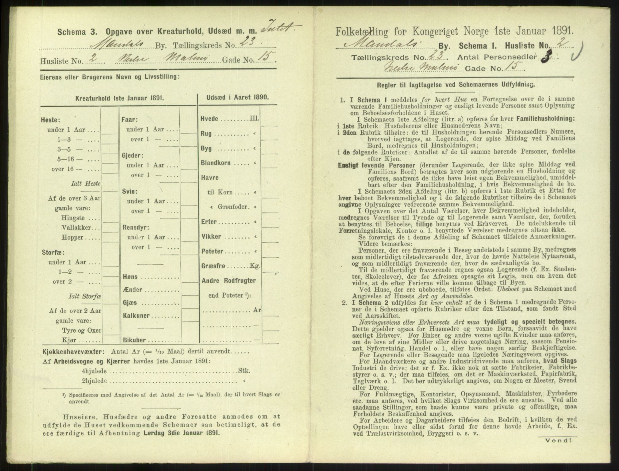 RA, Folketelling 1891 for 1002 Mandal ladested, 1891, s. 1019