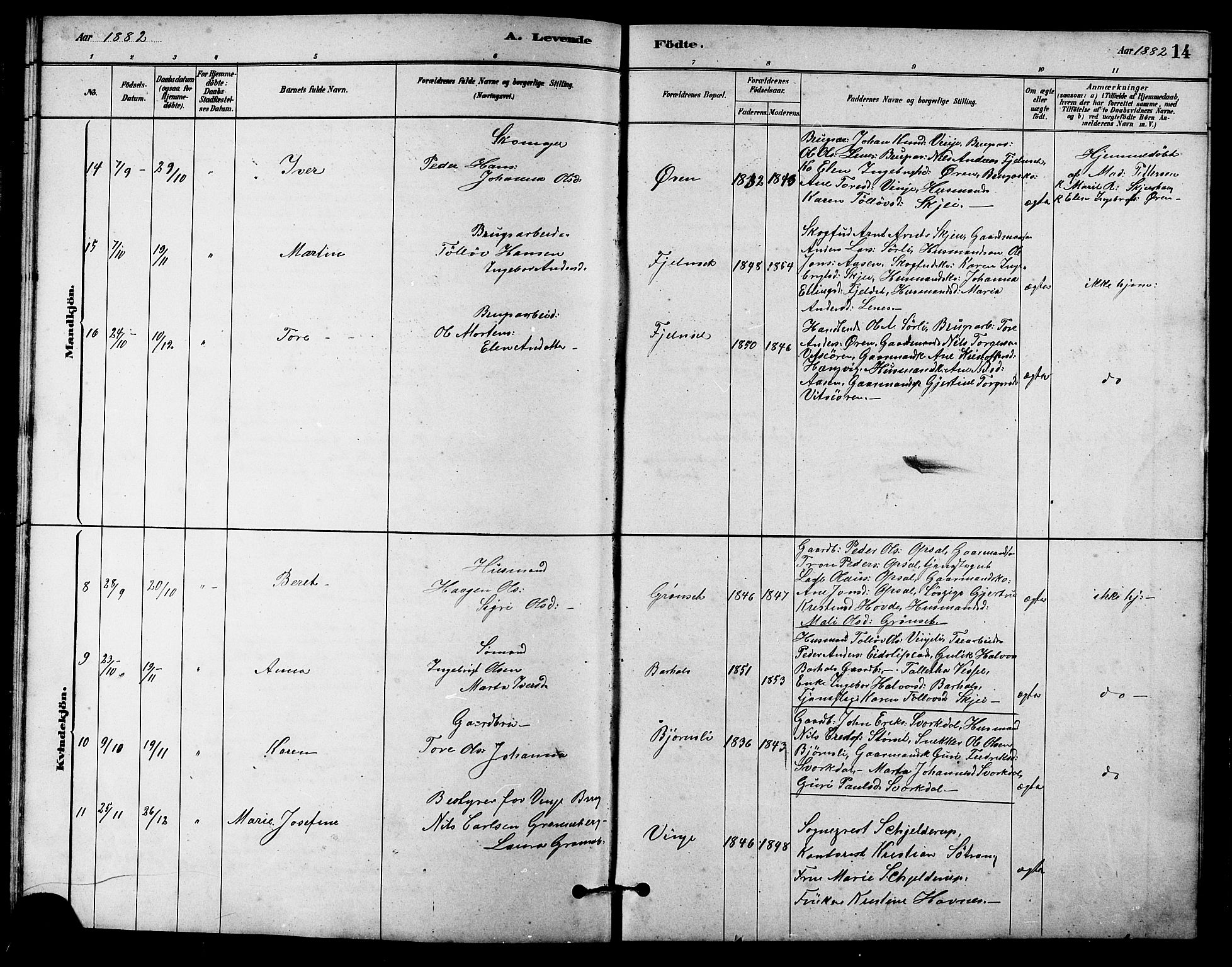 Ministerialprotokoller, klokkerbøker og fødselsregistre - Sør-Trøndelag, AV/SAT-A-1456/631/L0514: Klokkerbok nr. 631C02, 1879-1912, s. 14
