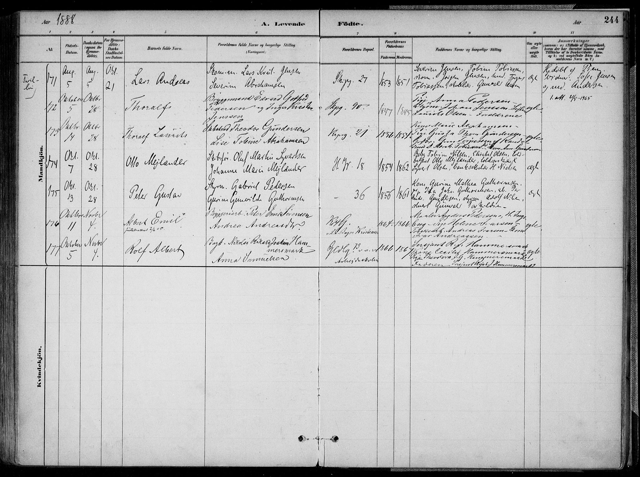 Kristiansand domprosti, AV/SAK-1112-0006/F/Fa/L0016: Ministerialbok nr. A 16A, 1880-1890, s. 244