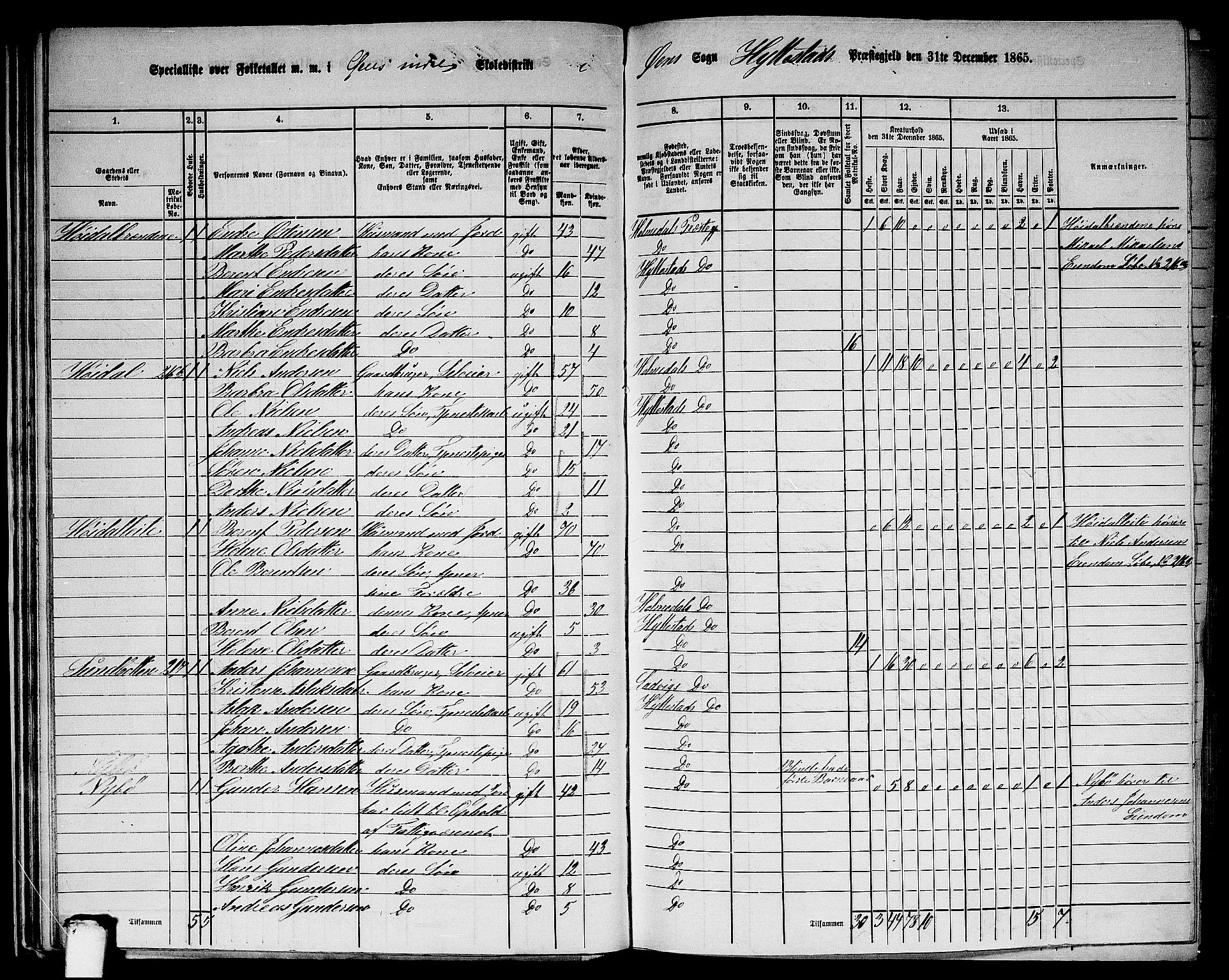 RA, Folketelling 1865 for 1413P Hyllestad prestegjeld, 1865, s. 39