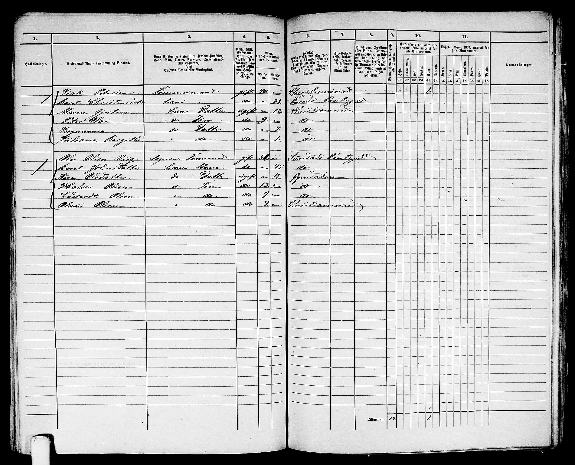 RA, Folketelling 1865 for 1503B Kristiansund prestegjeld, Kristiansund kjøpstad, 1865, s. 876