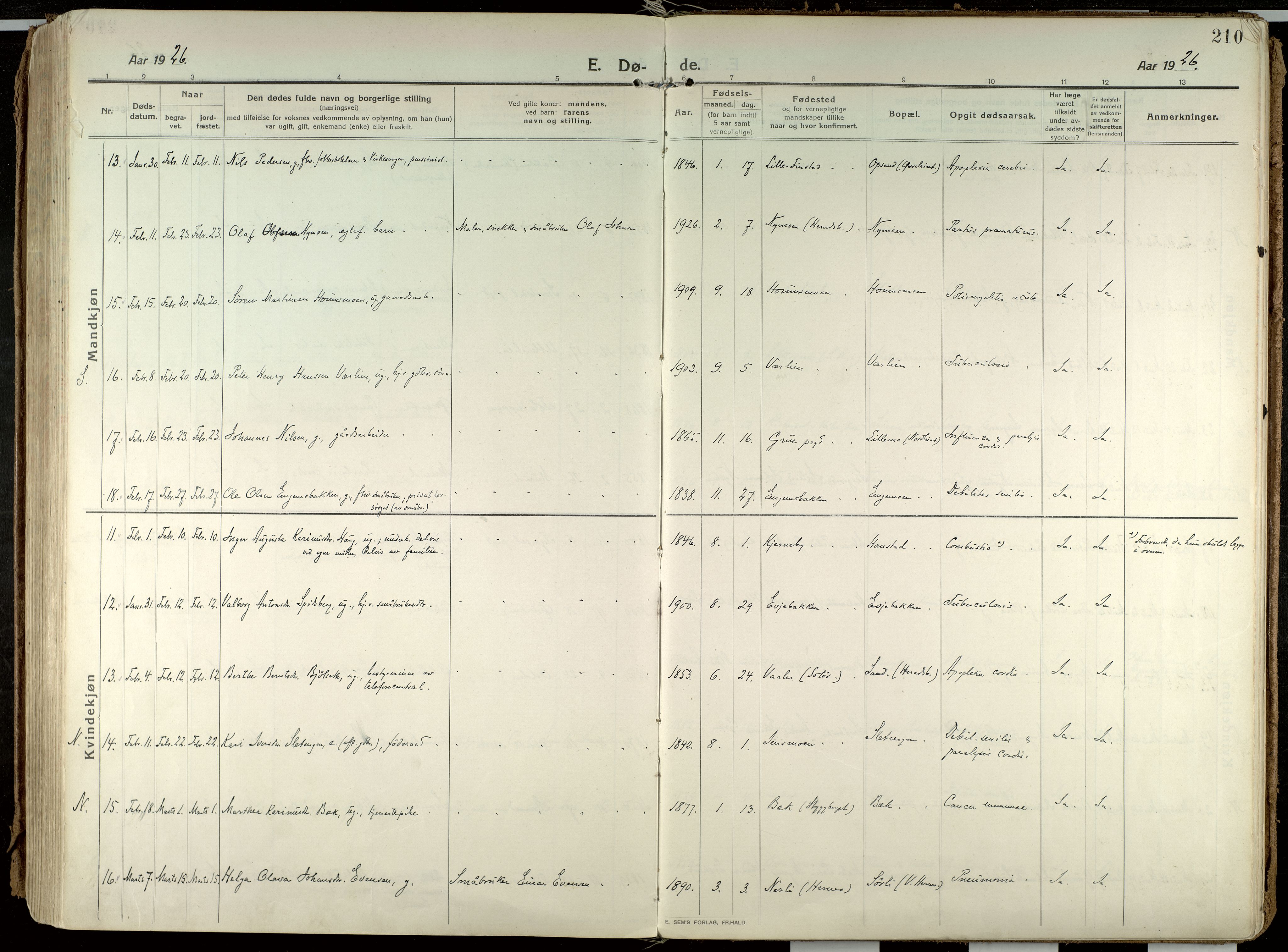 Elverum prestekontor, SAH/PREST-044/H/Ha/Haa/L0021: Ministerialbok nr. 21, 1913-1928, s. 210