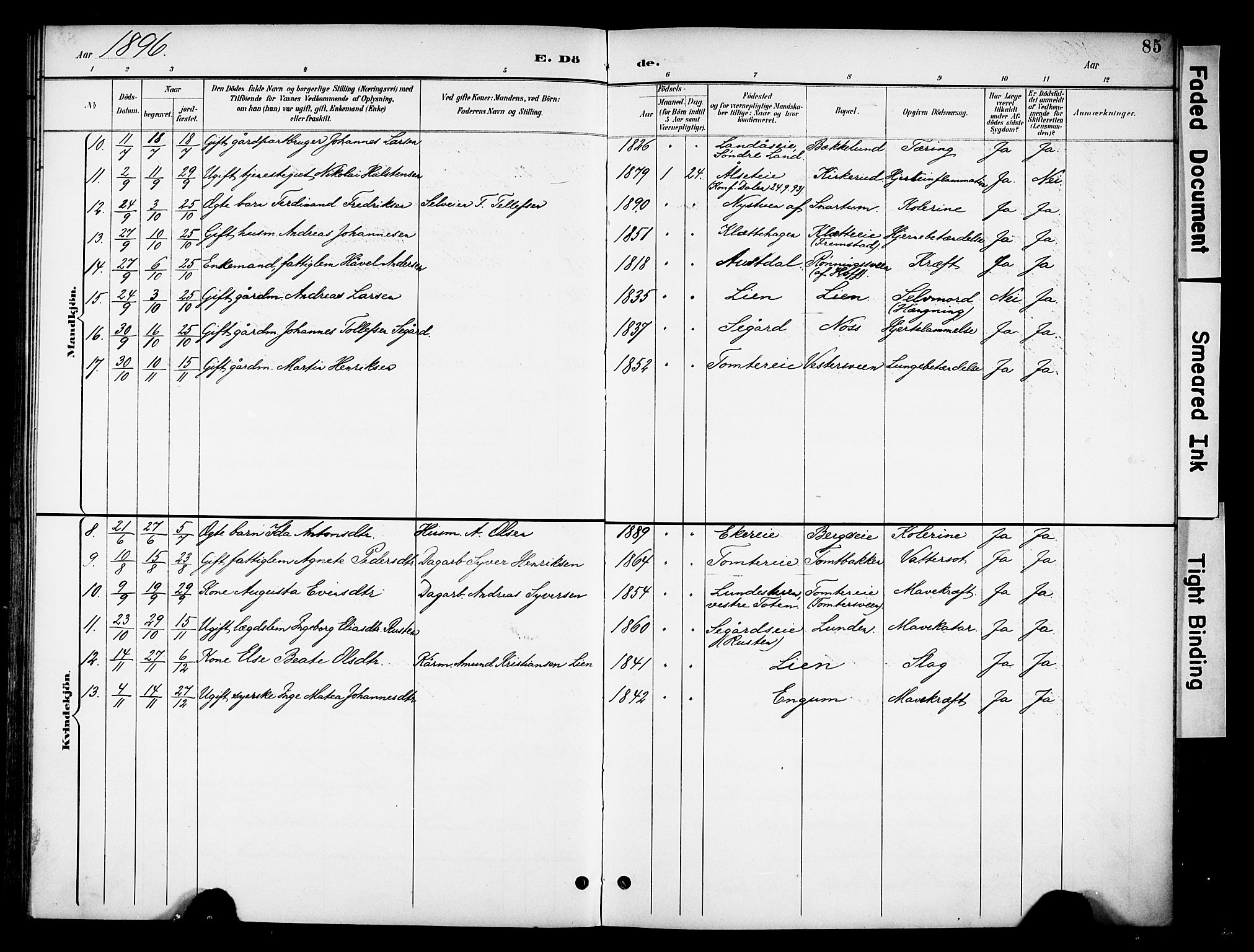 Biri prestekontor, AV/SAH-PREST-096/H/Ha/Haa/L0008: Ministerialbok nr. 8, 1894-1901, s. 85