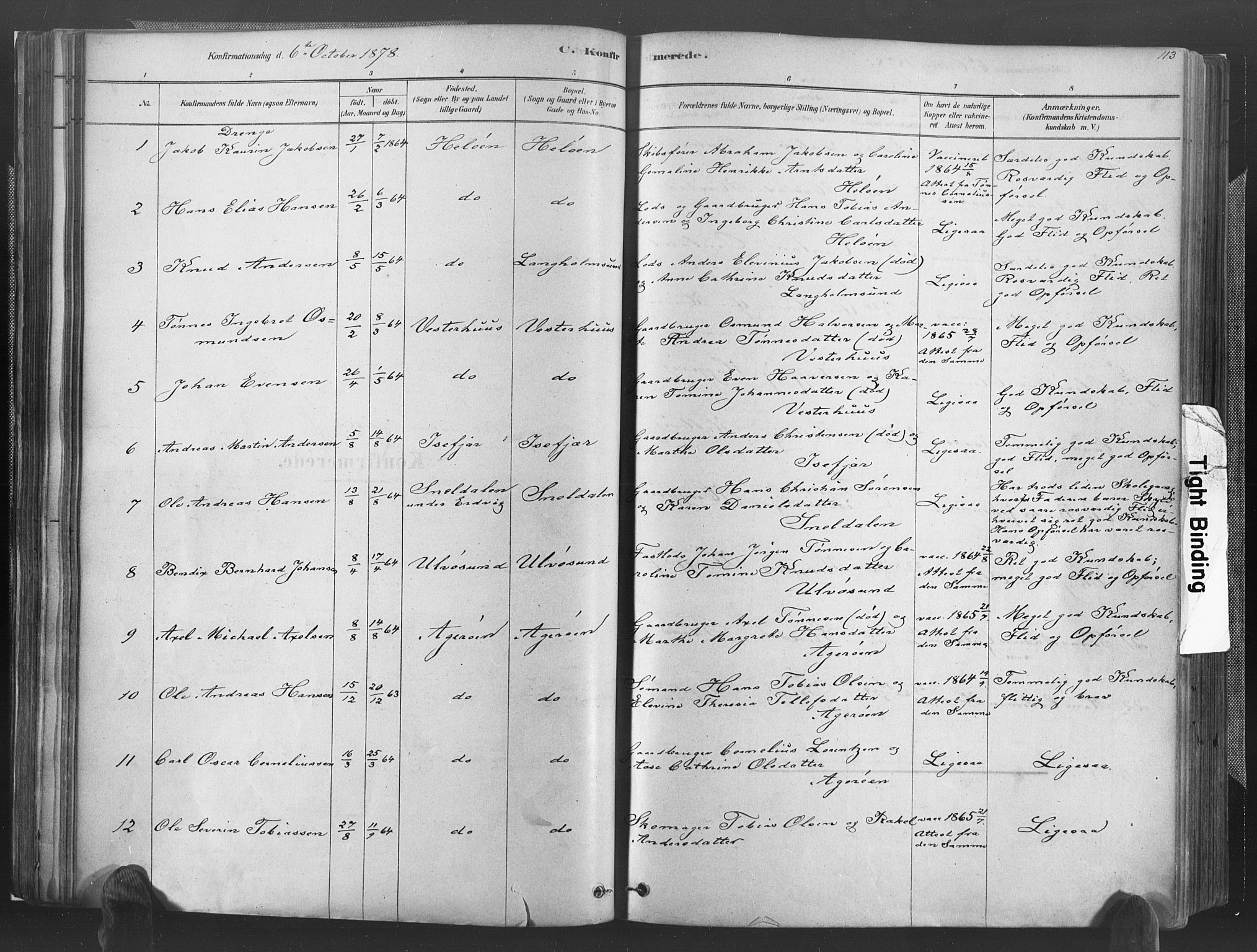 Høvåg sokneprestkontor, AV/SAK-1111-0025/F/Fa/L0005: Ministerialbok nr. A 5, 1878-1893, s. 113