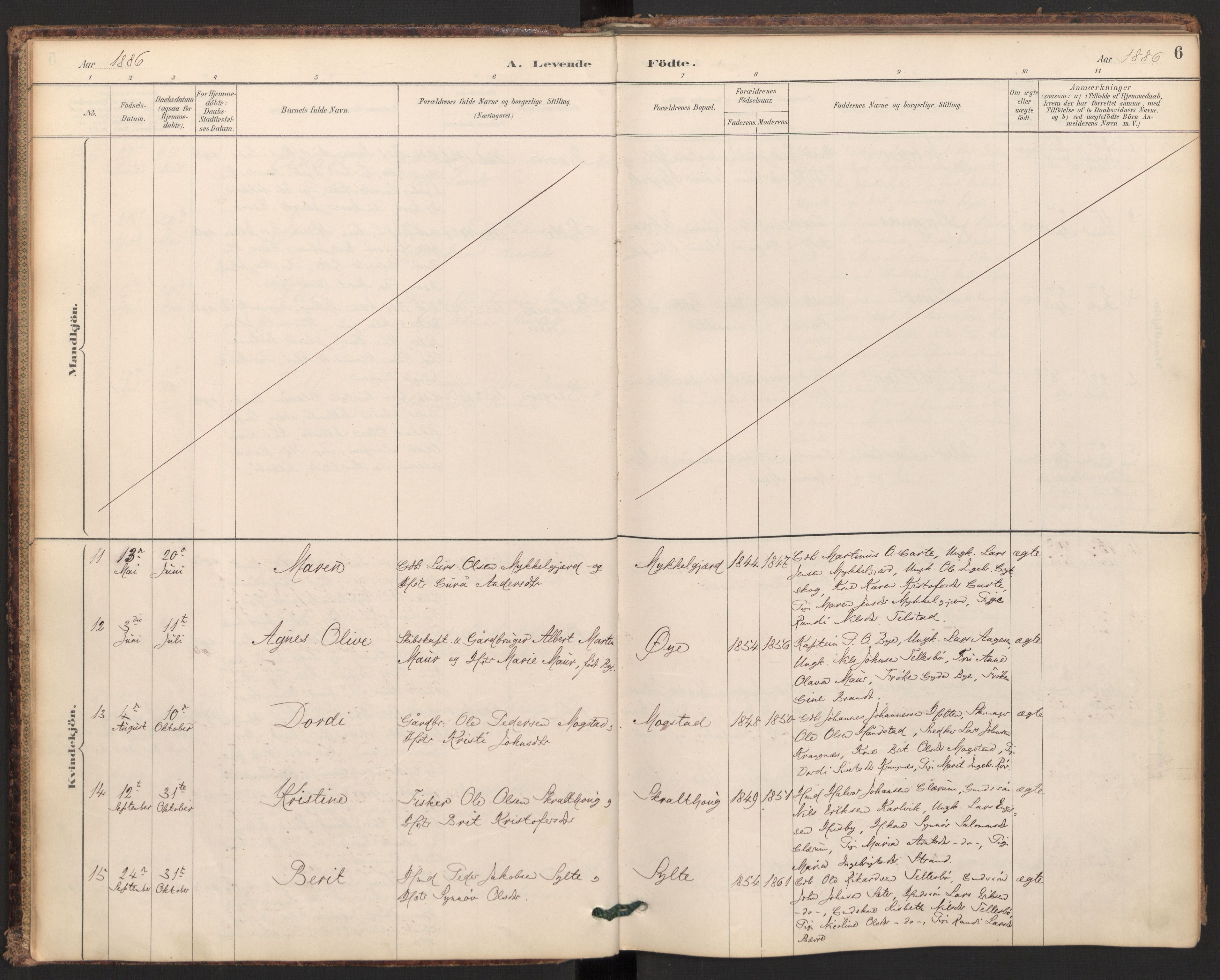 Ministerialprotokoller, klokkerbøker og fødselsregistre - Møre og Romsdal, SAT/A-1454/595/L1047: Ministerialbok nr. 595A09, 1885-1900, s. 6