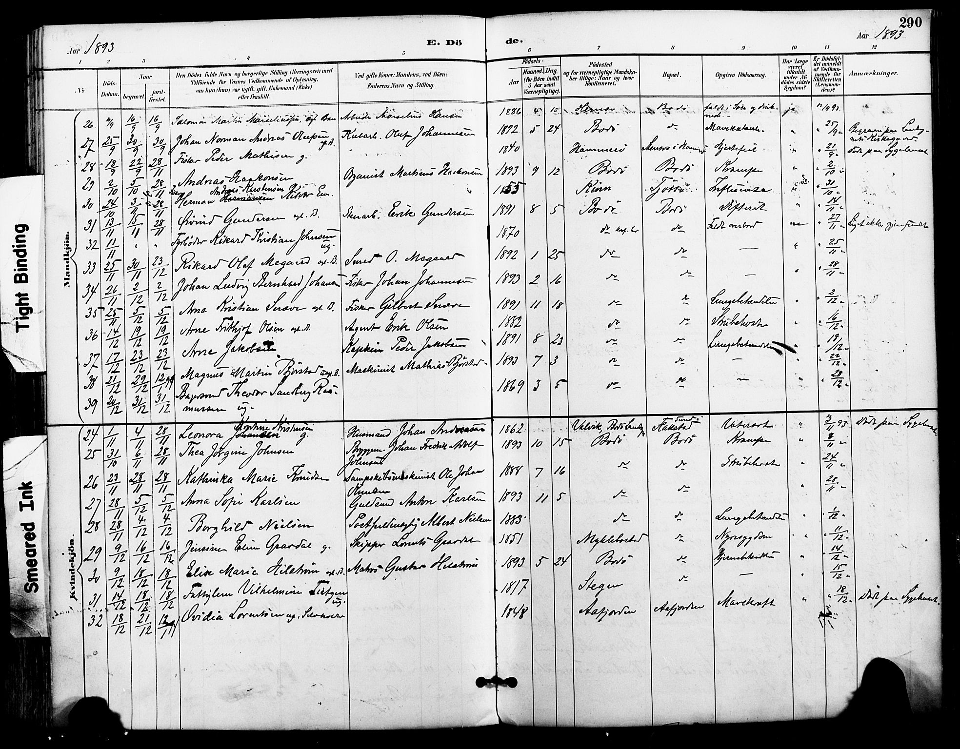 Ministerialprotokoller, klokkerbøker og fødselsregistre - Nordland, AV/SAT-A-1459/801/L0010: Ministerialbok nr. 801A10, 1888-1899, s. 290