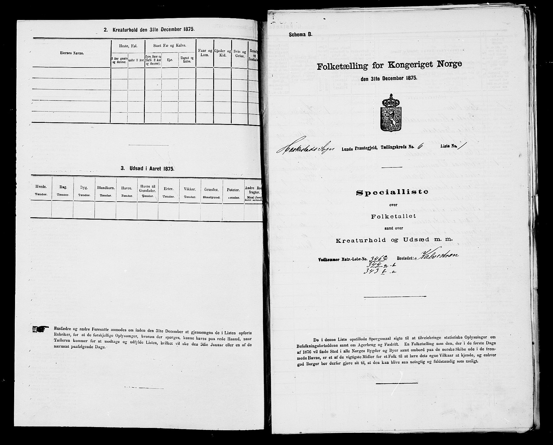 SAST, Folketelling 1875 for 1112P Lund prestegjeld, 1875, s. 901