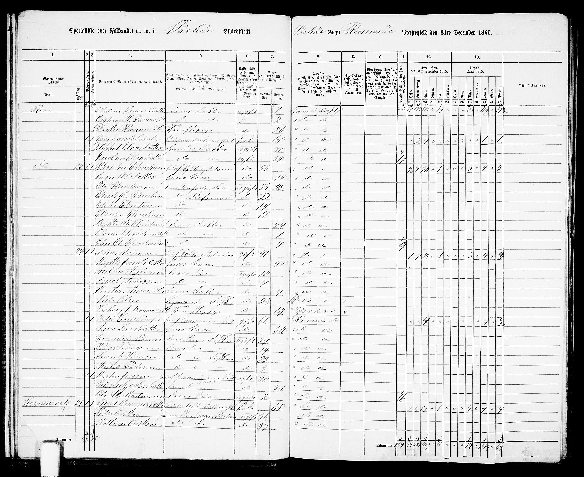 RA, Folketelling 1865 for 1142P Rennesøy prestegjeld, 1865, s. 18