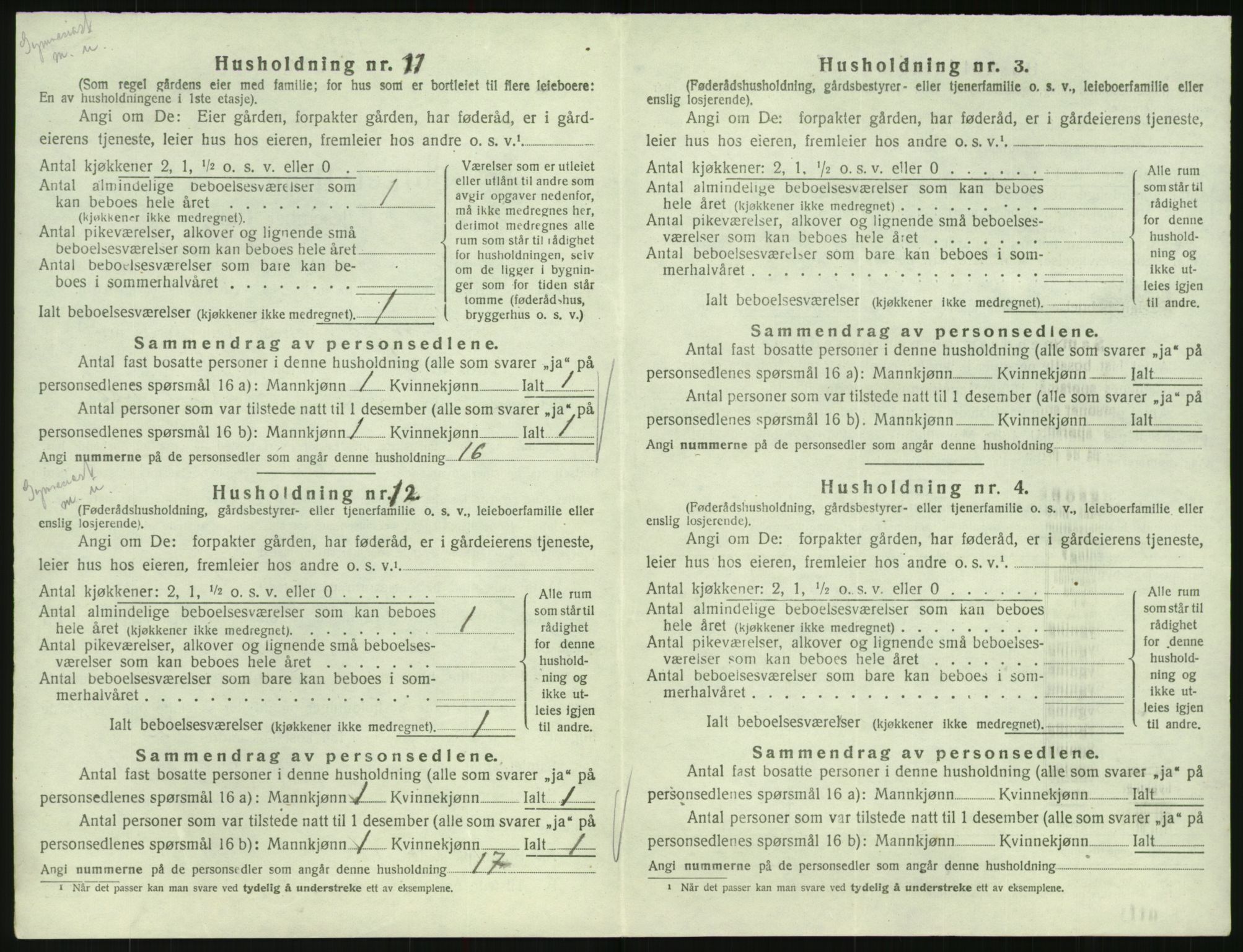 SAK, Folketelling 1920 for 0936 Hornnes herred, 1920, s. 300