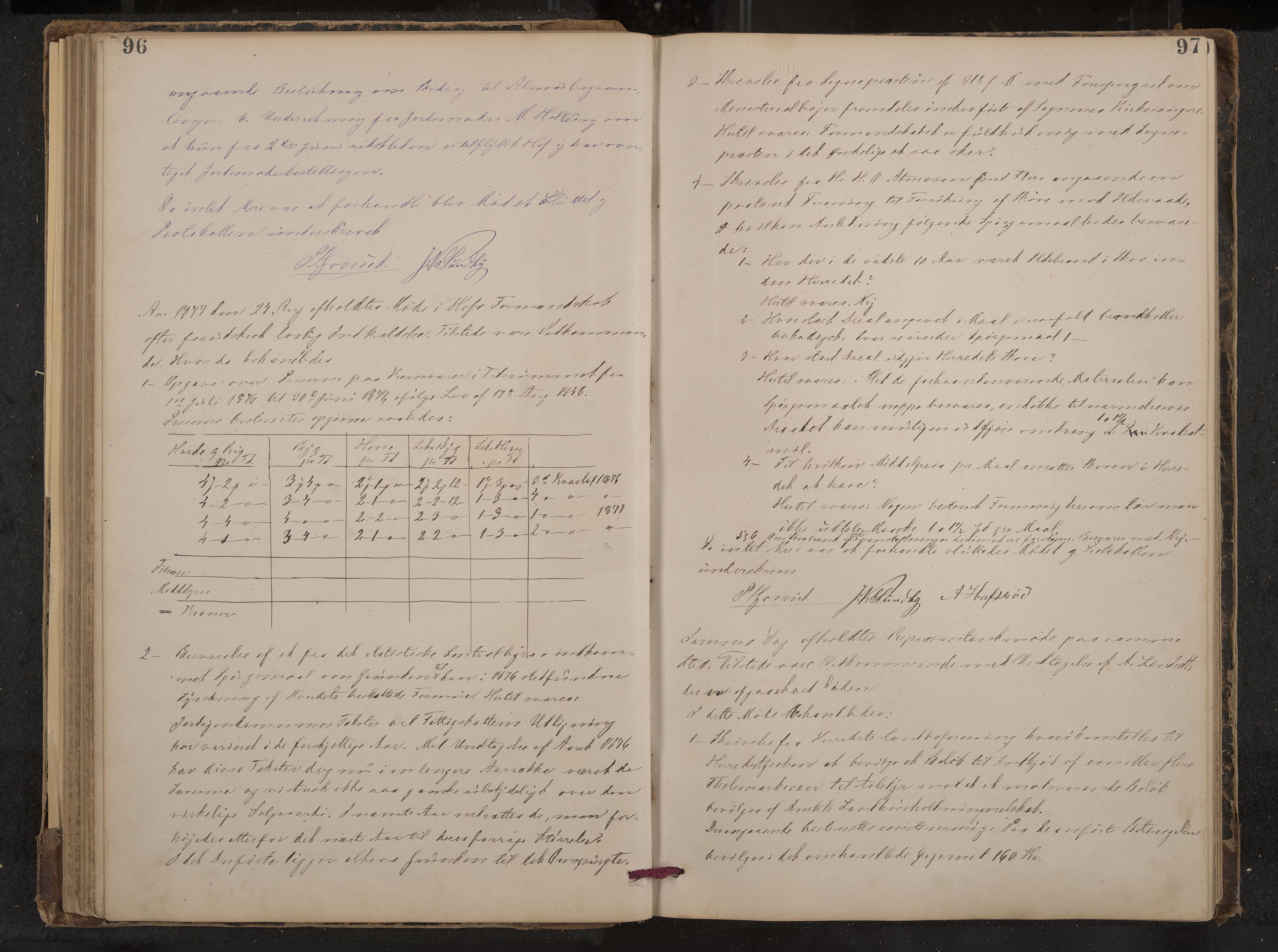Hof formannskap og sentraladministrasjon, IKAK/0714021-1/A/Aa/L0003: Møtebok med register, 1874-1888, s. 96-97
