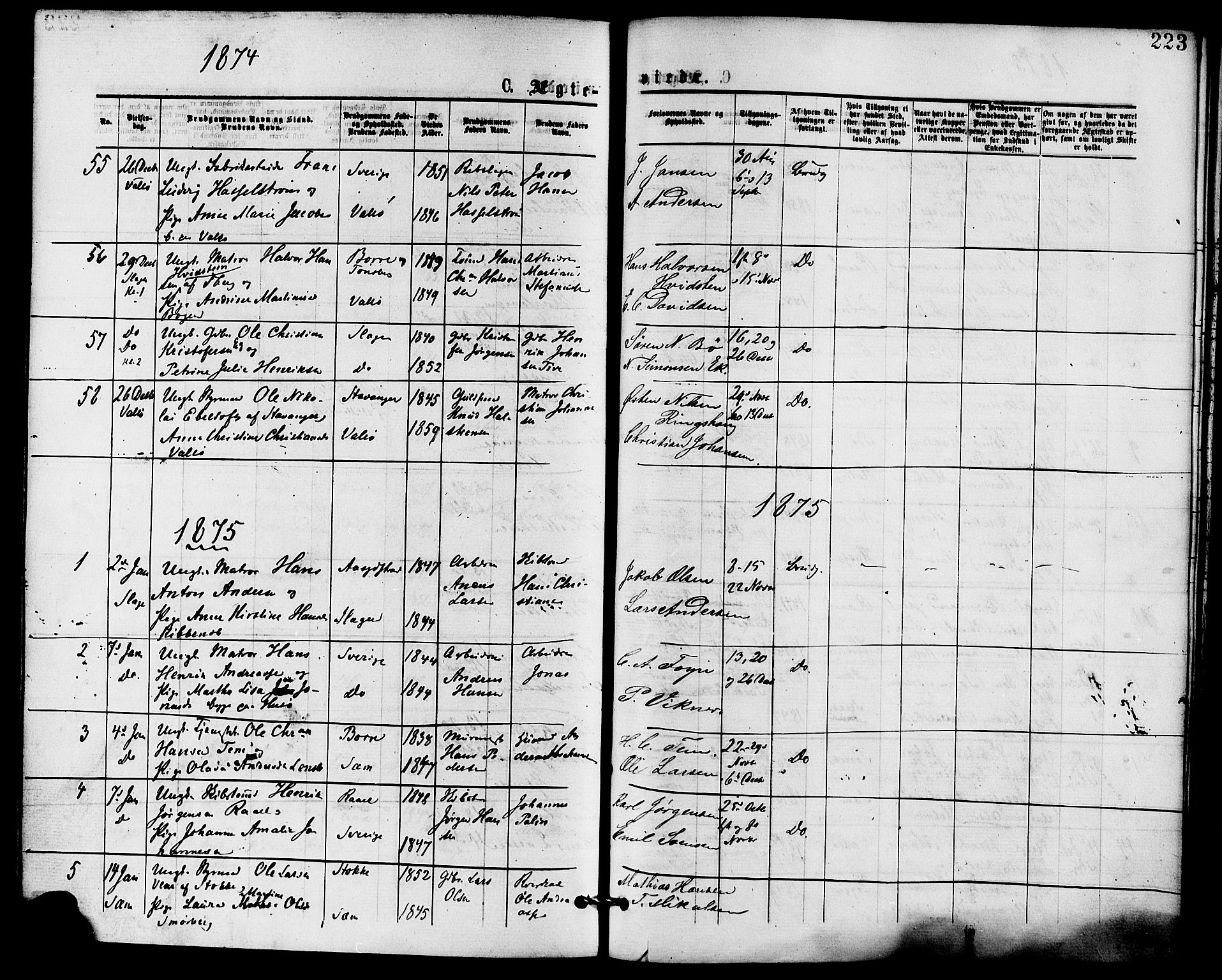 Sem kirkebøker, AV/SAKO-A-5/F/Fa/L0009: Ministerialbok nr. I 9, 1874-1877, s. 223