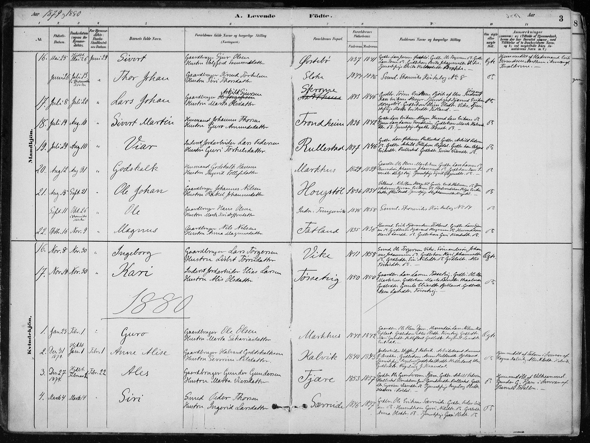 Skånevik sokneprestembete, AV/SAB-A-77801/H/Haa: Ministerialbok nr. E  1, 1879-1901, s. 3