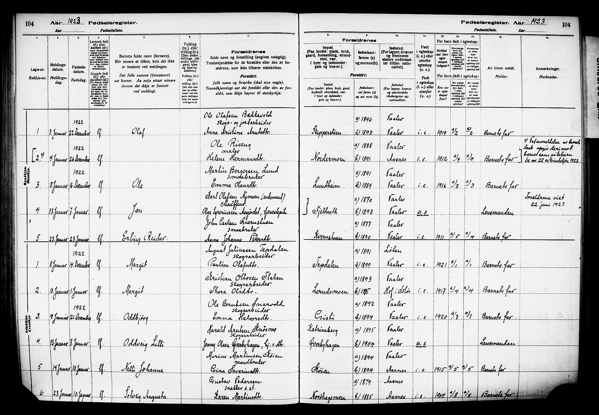 Våler prestekontor, Hedmark, AV/SAH-PREST-040/I/Id/L0001: Fødselsregister nr. 1, 1916-1930, s. 104