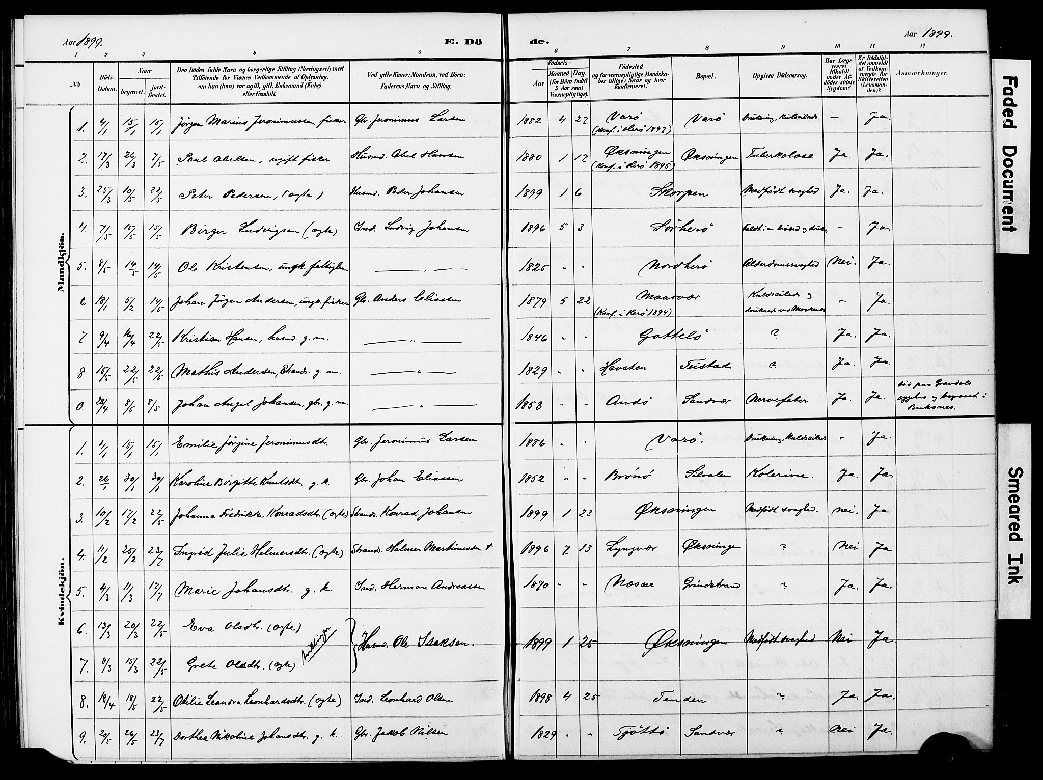 Ministerialprotokoller, klokkerbøker og fødselsregistre - Nordland, SAT/A-1459/834/L0514: Klokkerbok nr. 834C05, 1893-1901