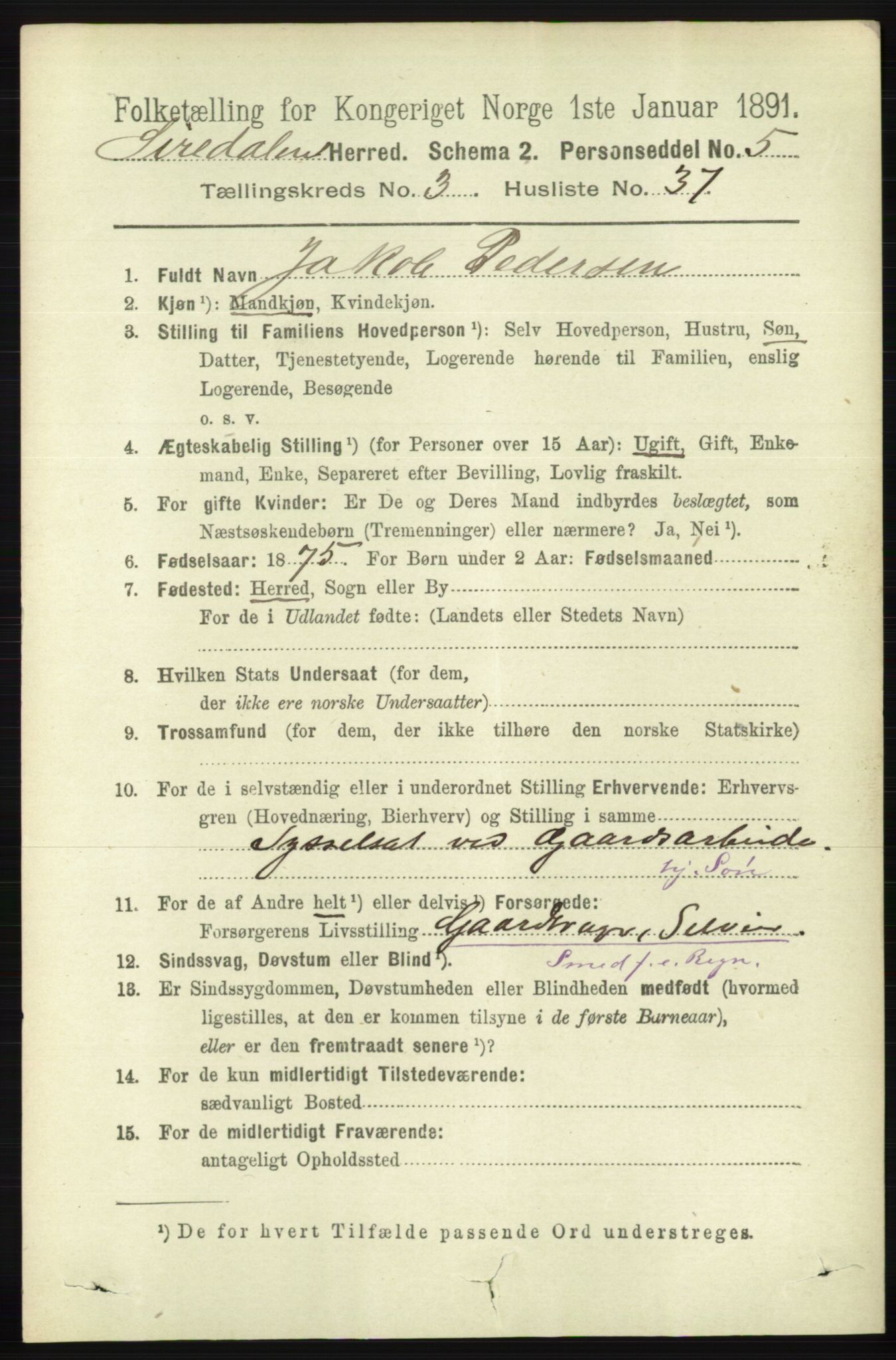 RA, Folketelling 1891 for 1046 Sirdal herred, 1891, s. 879