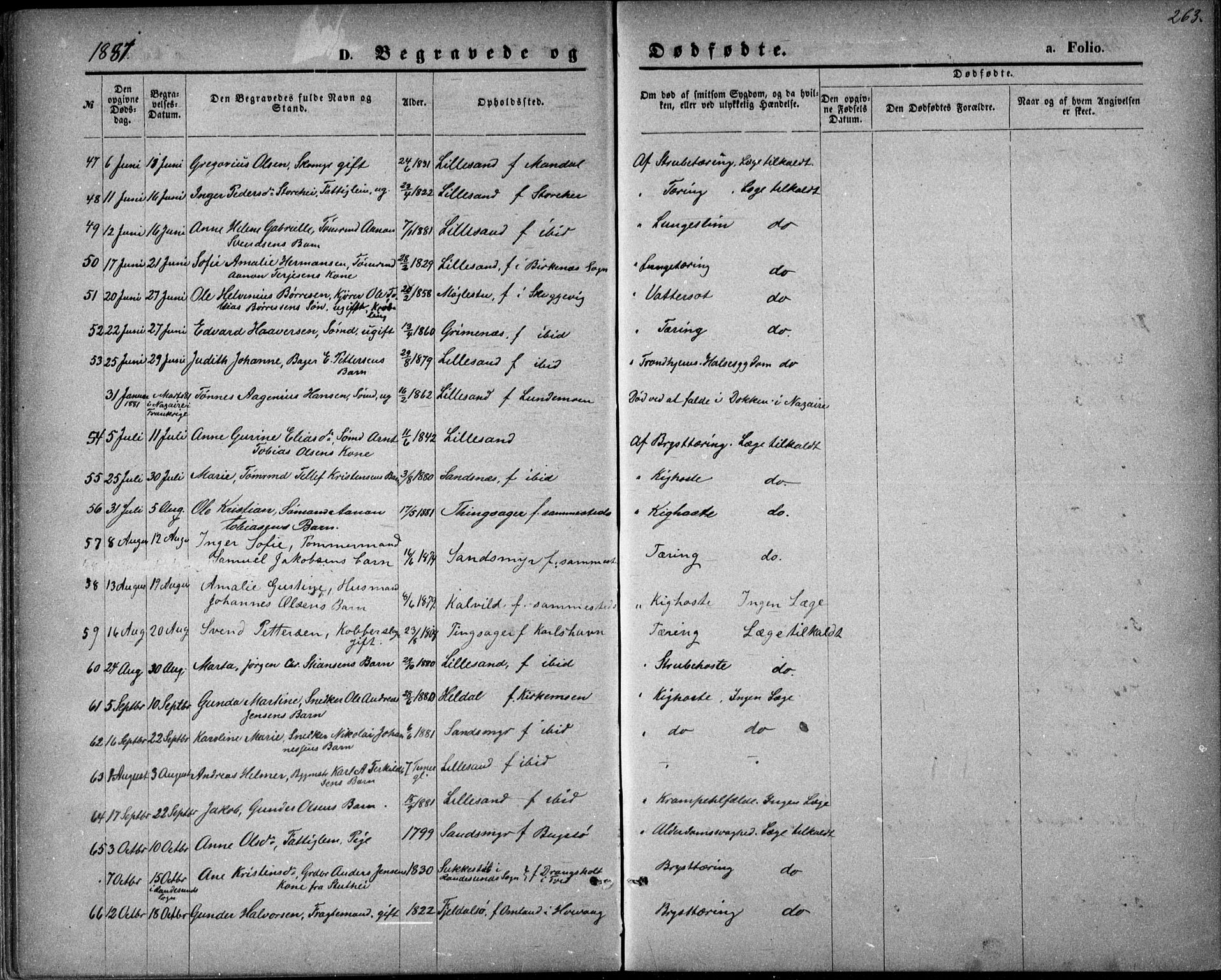Vestre Moland sokneprestkontor, AV/SAK-1111-0046/F/Fb/Fbb/L0005: Klokkerbok nr. B 5, 1872-1883, s. 263