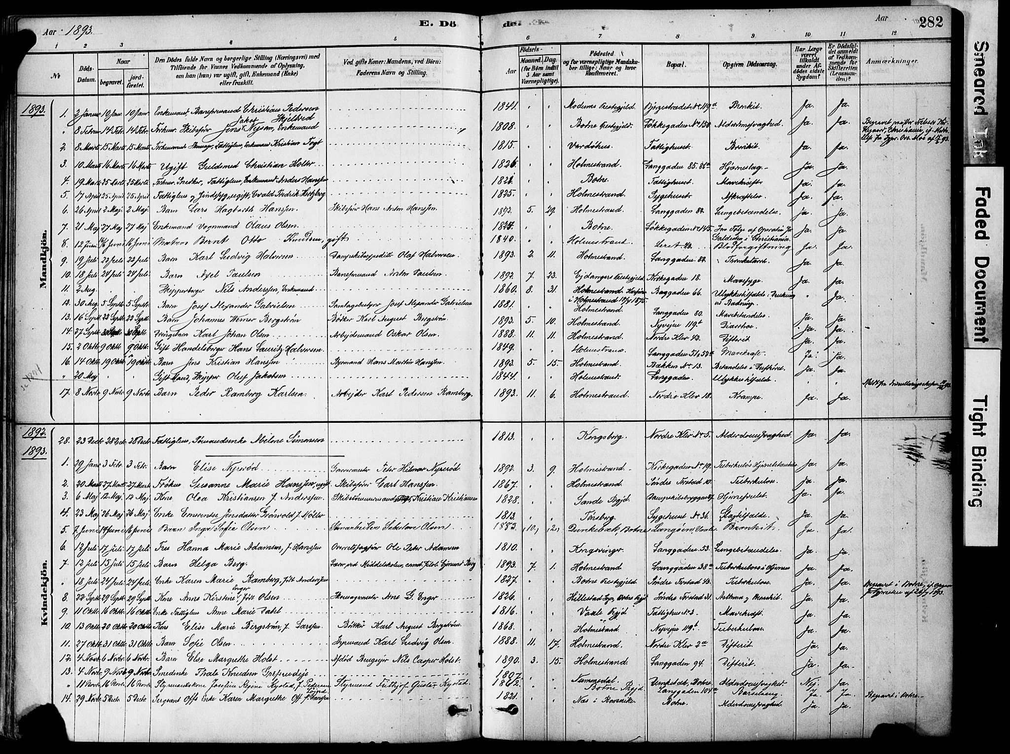 Holmestrand kirkebøker, SAKO/A-346/F/Fa/L0004: Ministerialbok nr. 4, 1880-1901, s. 282