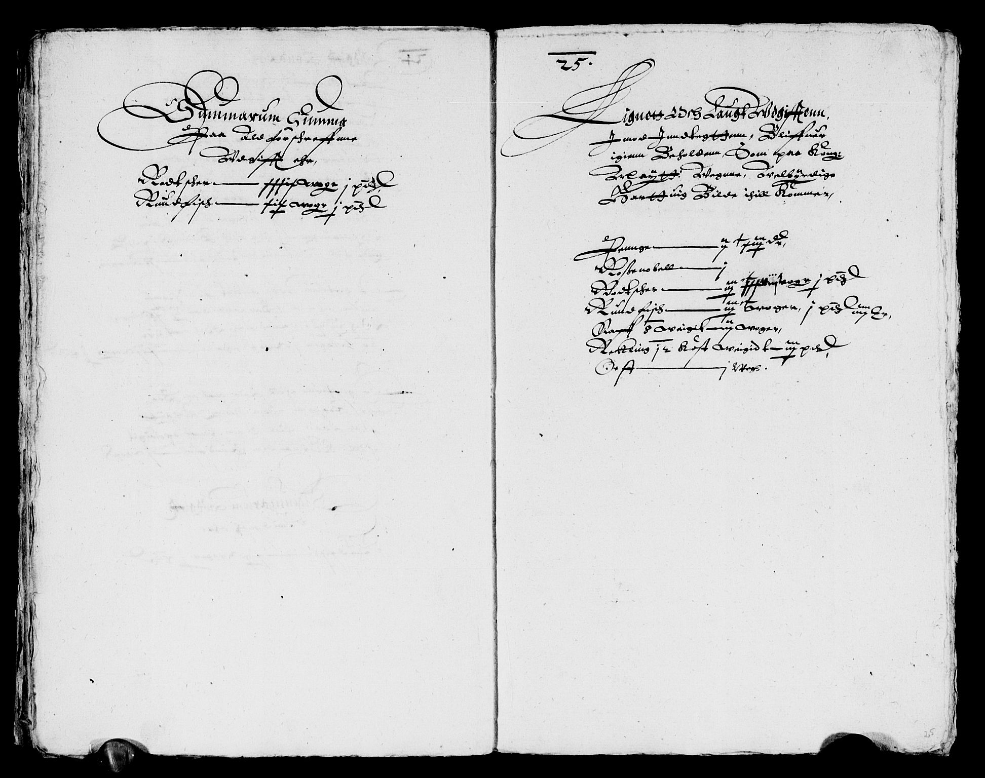 Rentekammeret inntil 1814, Reviderte regnskaper, Lensregnskaper, AV/RA-EA-5023/R/Rb/Rbz/L0009: Nordlandenes len, 1617-1618