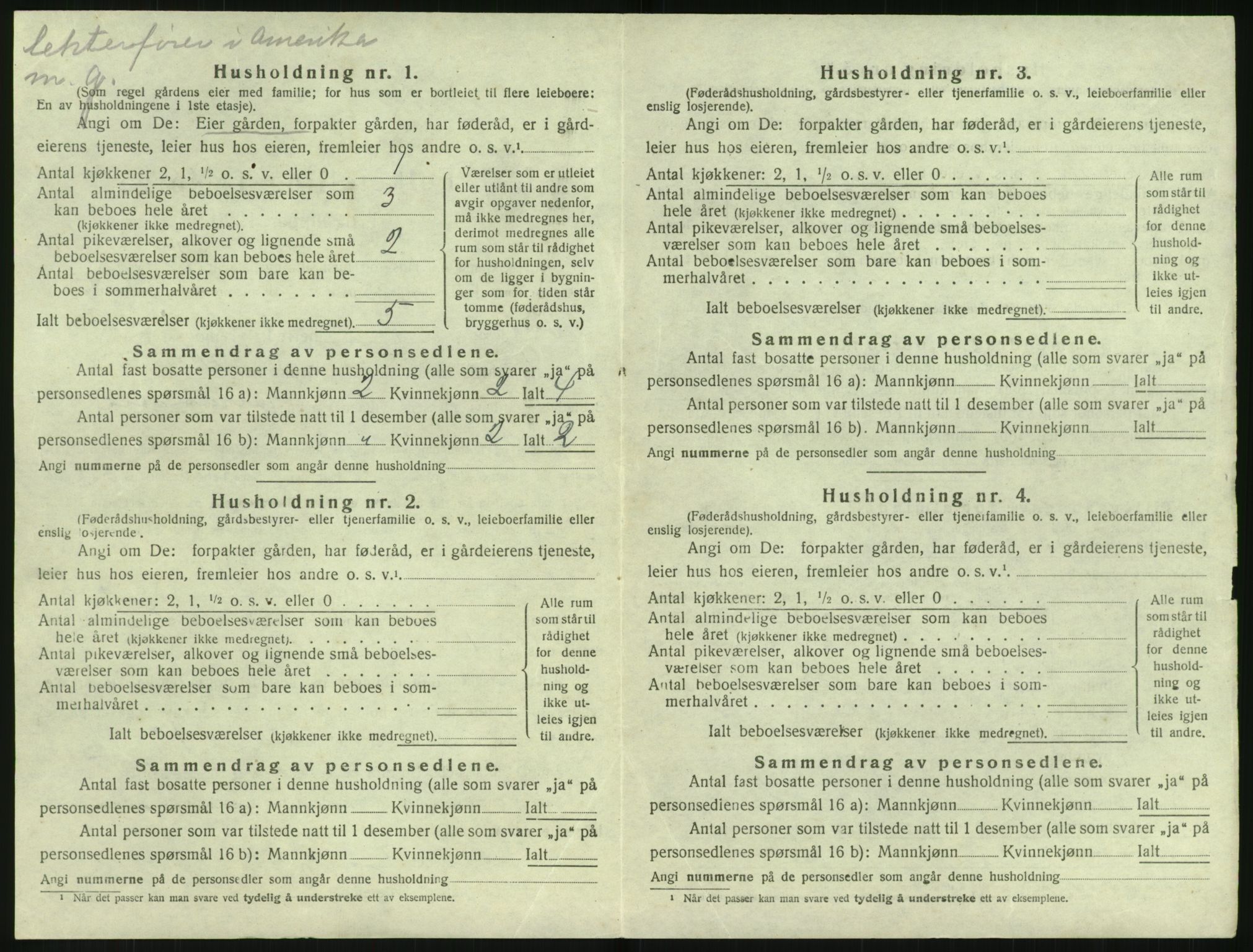 SAK, Folketelling 1920 for 0915 Dypvåg herred, 1920, s. 304