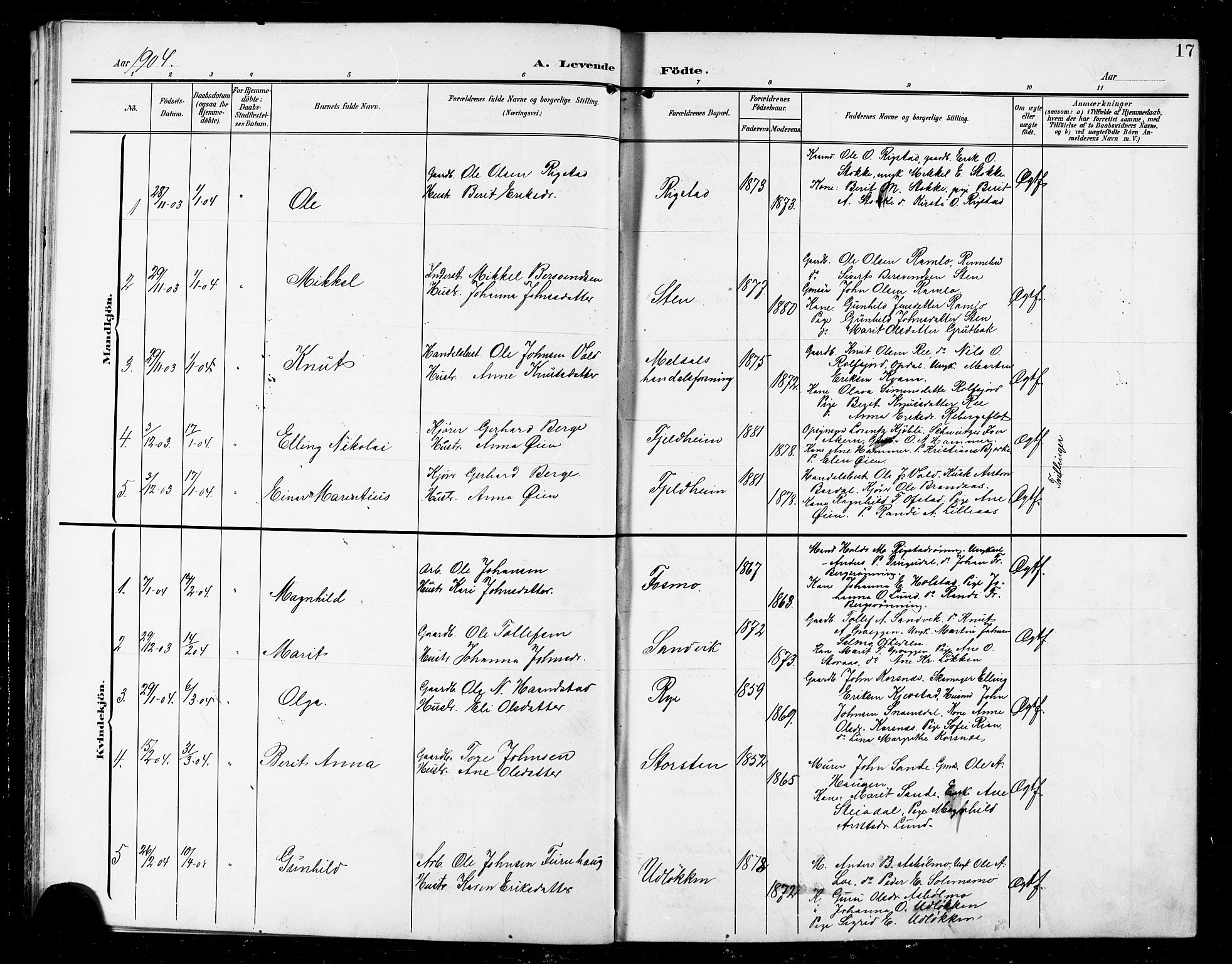 Ministerialprotokoller, klokkerbøker og fødselsregistre - Sør-Trøndelag, AV/SAT-A-1456/672/L0864: Klokkerbok nr. 672C03, 1902-1914, s. 17