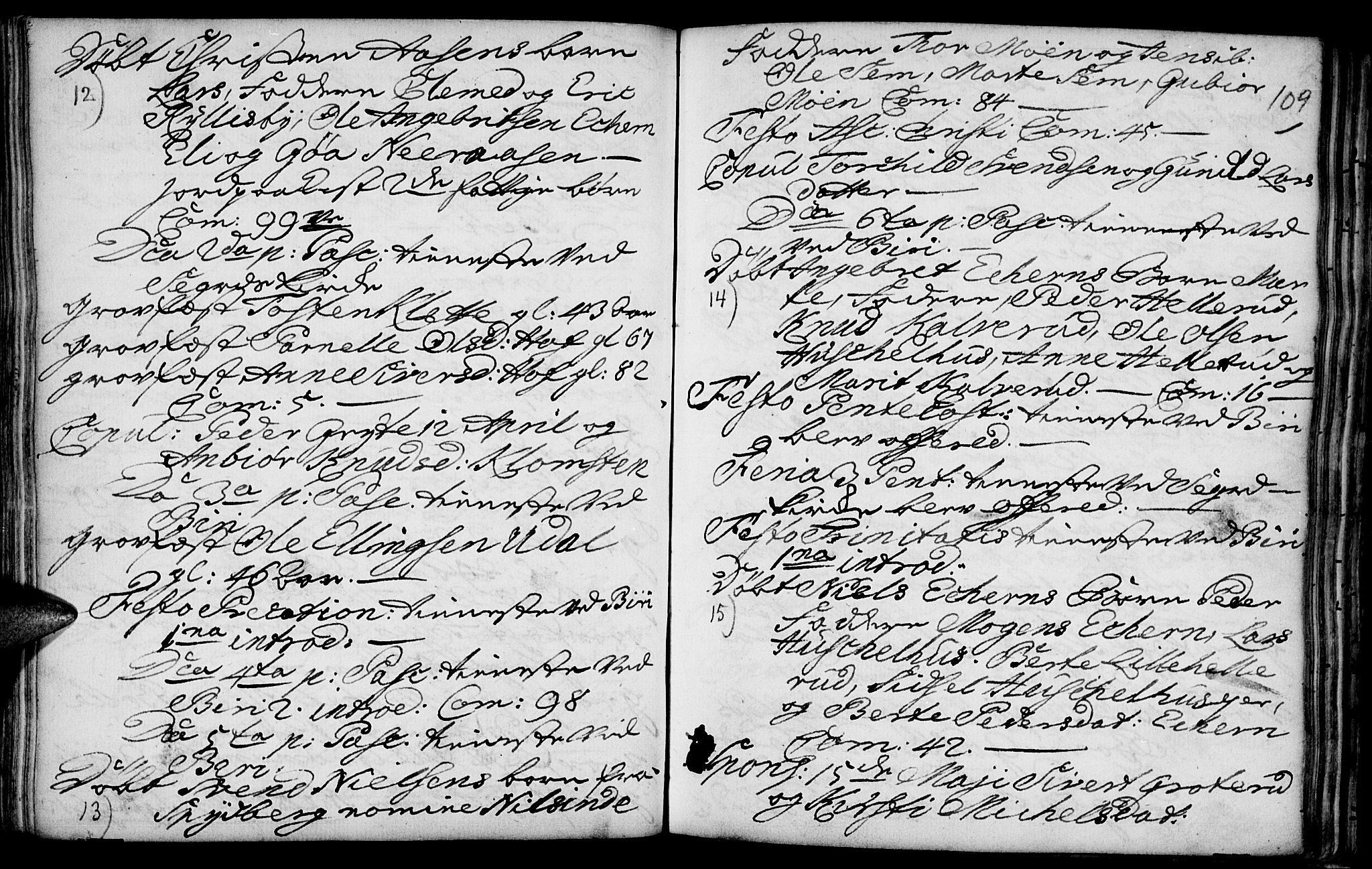 Biri prestekontor, AV/SAH-PREST-096/H/Ha/Haa/L0001: Ministerialbok nr. 1, 1730-1754, s. 109