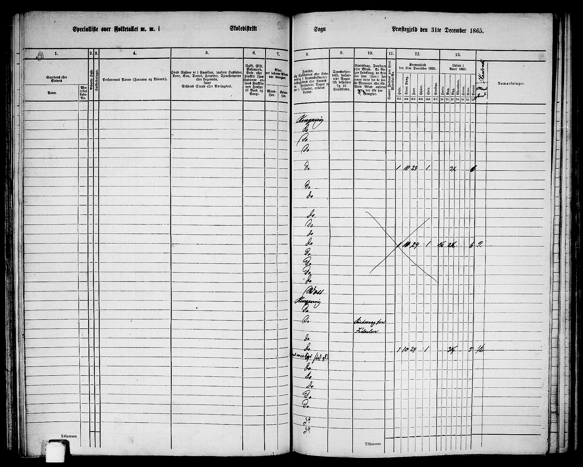 RA, Folketelling 1865 for 1230P Kinsarvik prestegjeld, 1865, s. 142