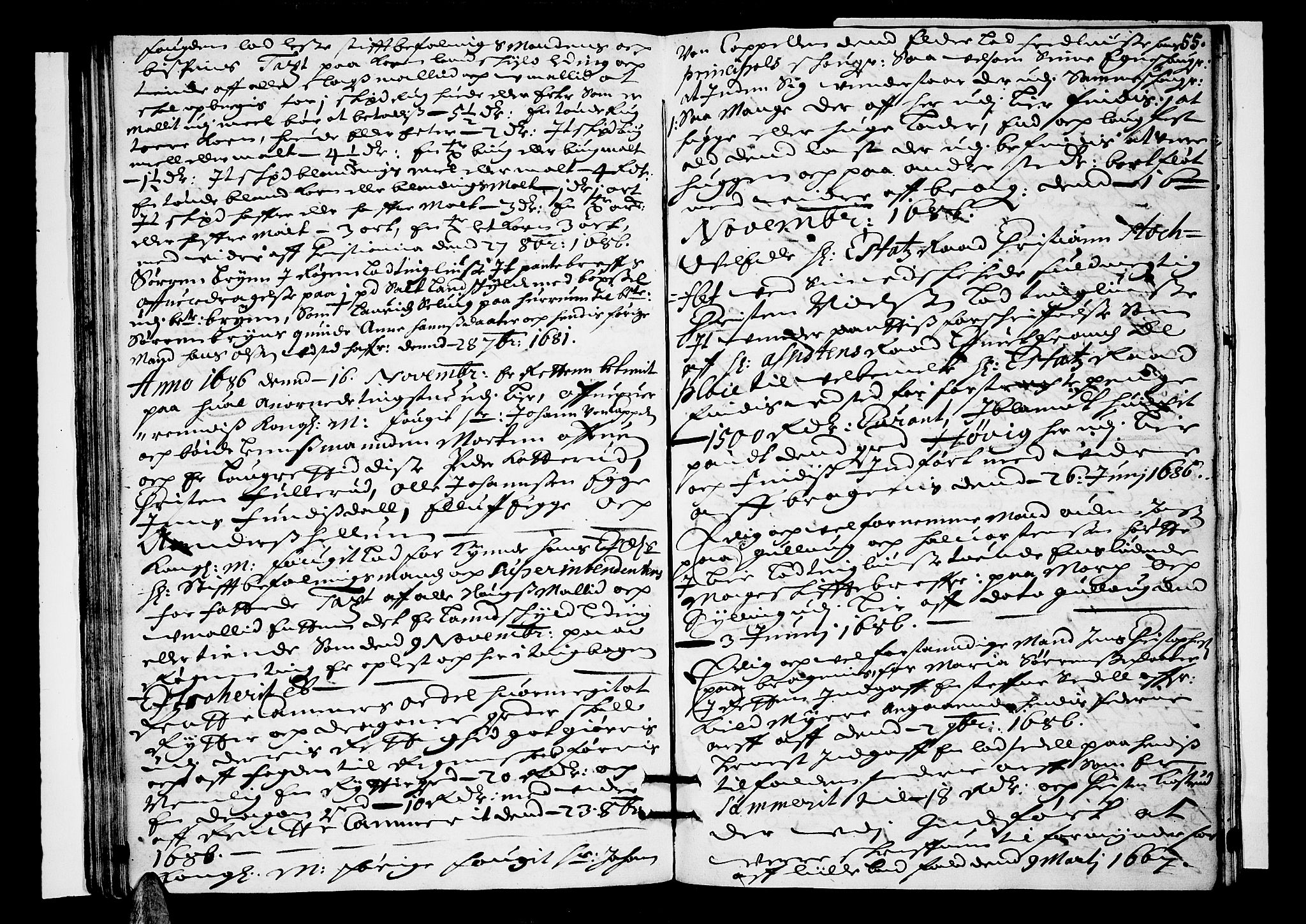 Lier, Røyken og Hurum sorenskriveri, AV/SAKO-A-89/F/Fa/L0027: Tingbok, 1686, s. 55