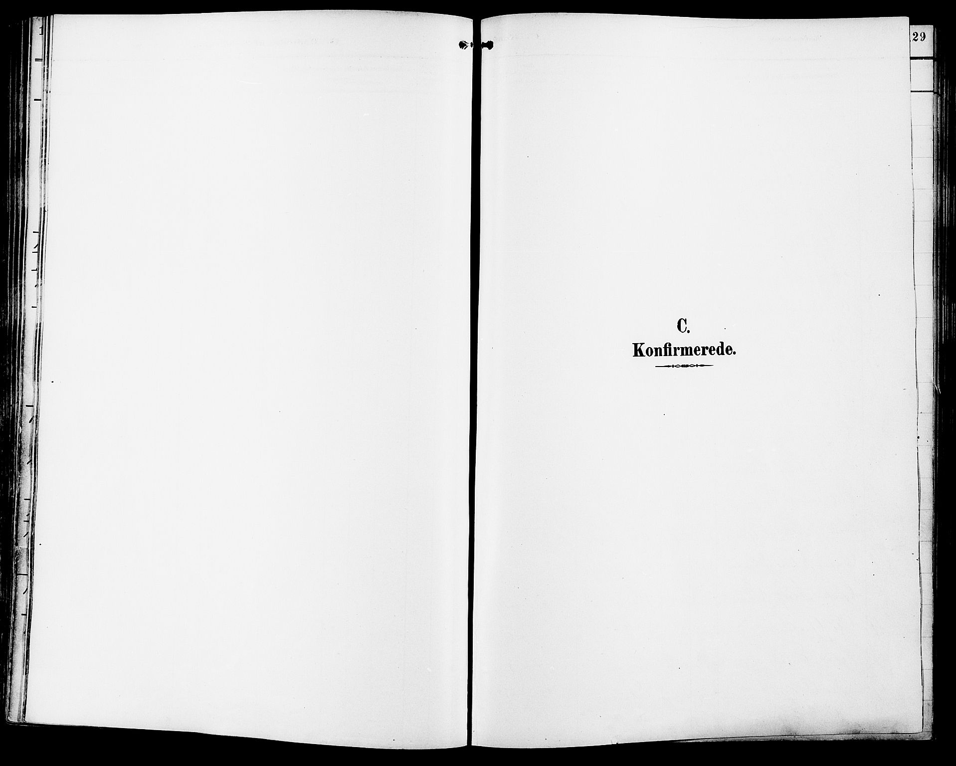 Vang prestekontor, Hedmark, AV/SAH-PREST-008/H/Ha/Haa/L0017: Ministerialbok nr. 17, 1890-1899