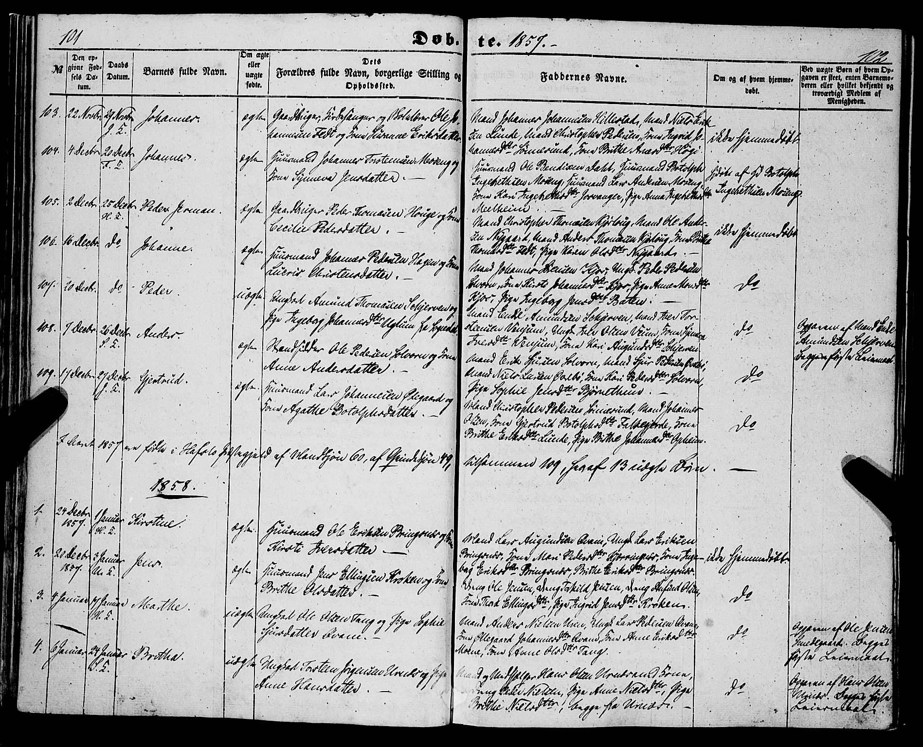 Hafslo sokneprestembete, AV/SAB-A-80301/H/Haa/Haaa/L0009: Ministerialbok nr. A 9, 1852-1873, s. 101-102