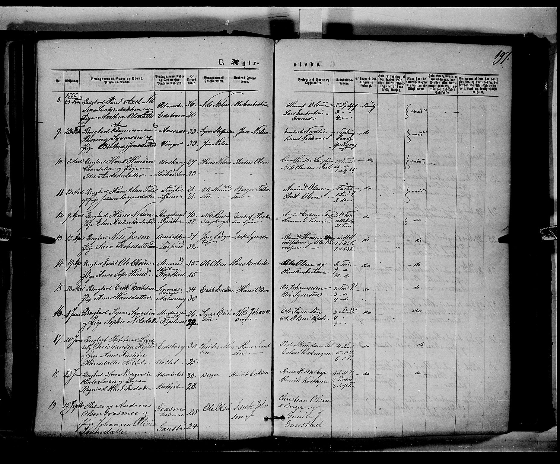Eidskog prestekontor, AV/SAH-PREST-026/H/Ha/Haa/L0002: Ministerialbok nr. 2, 1867-1878, s. 197
