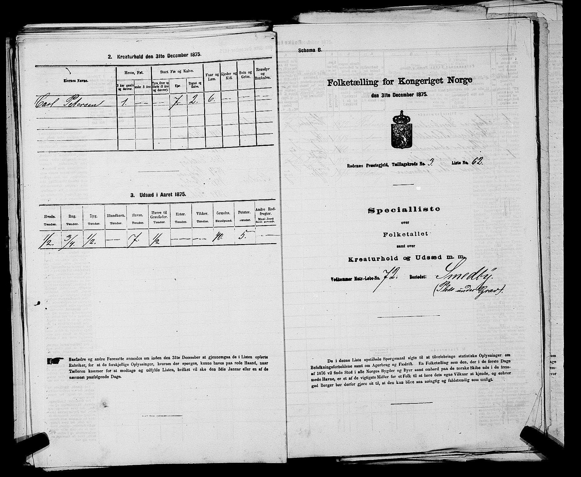 RA, Folketelling 1875 for 0120P Rødenes prestegjeld, 1875, s. 488