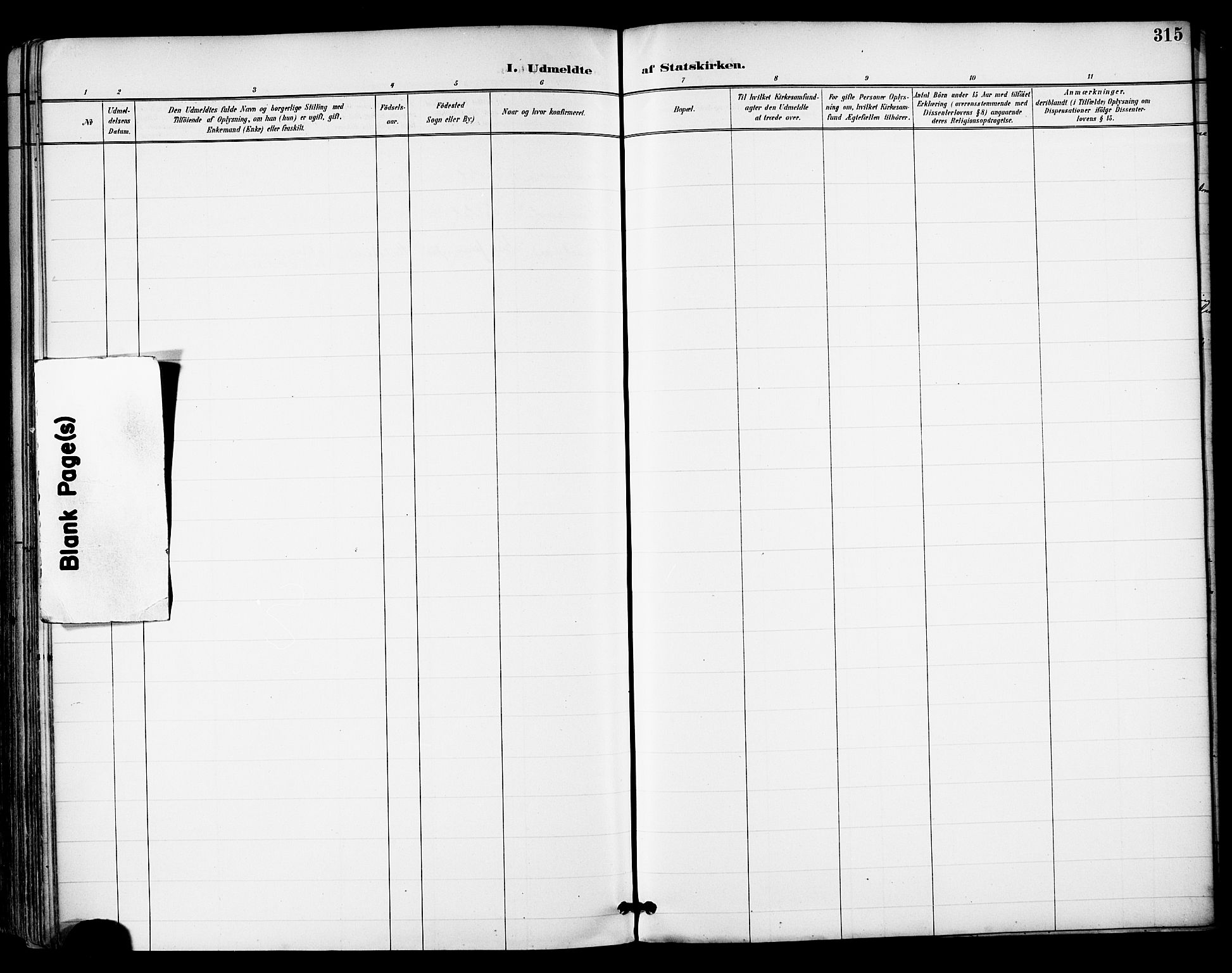 Ministerialprotokoller, klokkerbøker og fødselsregistre - Nordland, AV/SAT-A-1459/855/L0803: Ministerialbok nr. 855A11, 1887-1905, s. 315