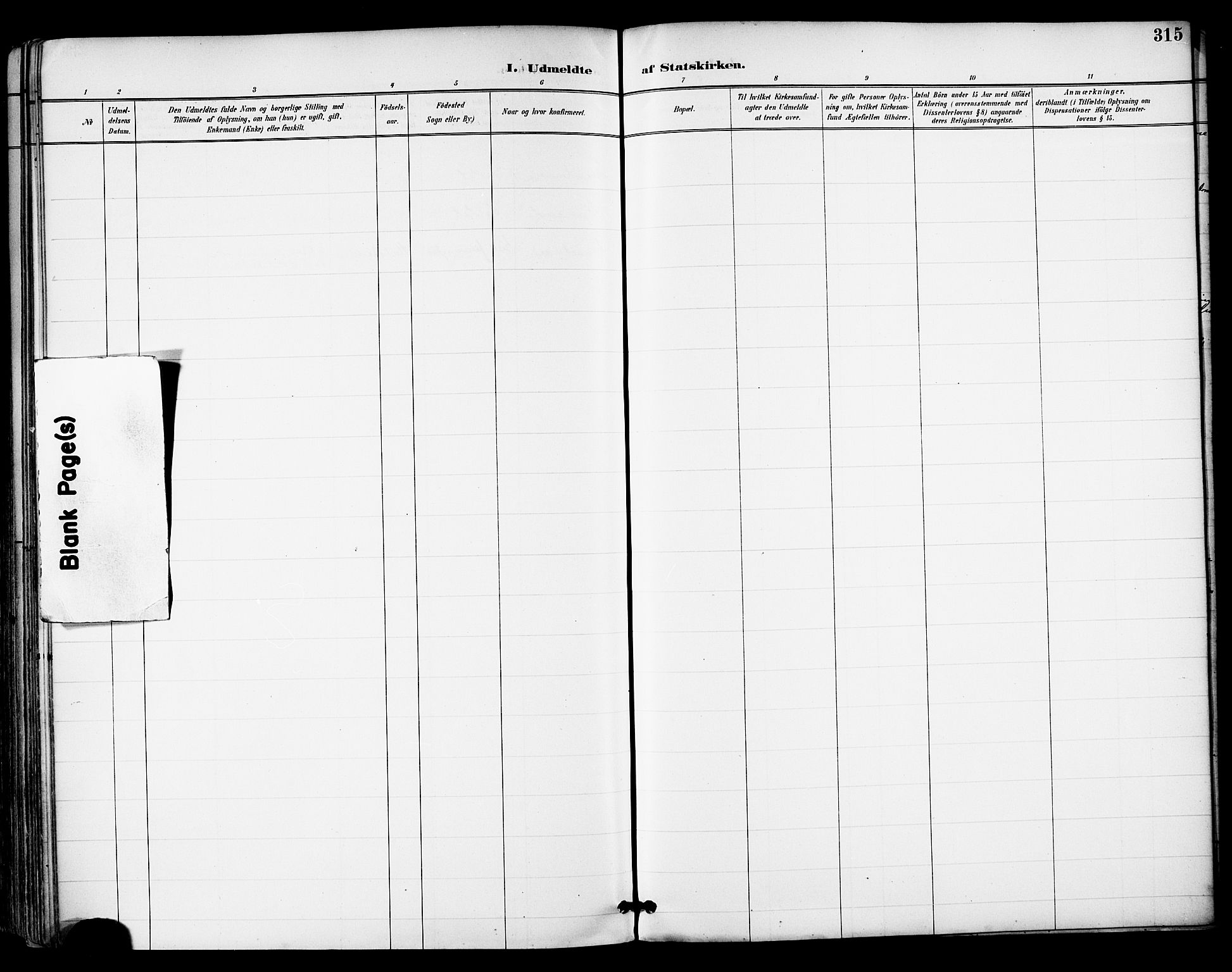 Ministerialprotokoller, klokkerbøker og fødselsregistre - Nordland, SAT/A-1459/855/L0803: Ministerialbok nr. 855A11, 1887-1905, s. 315