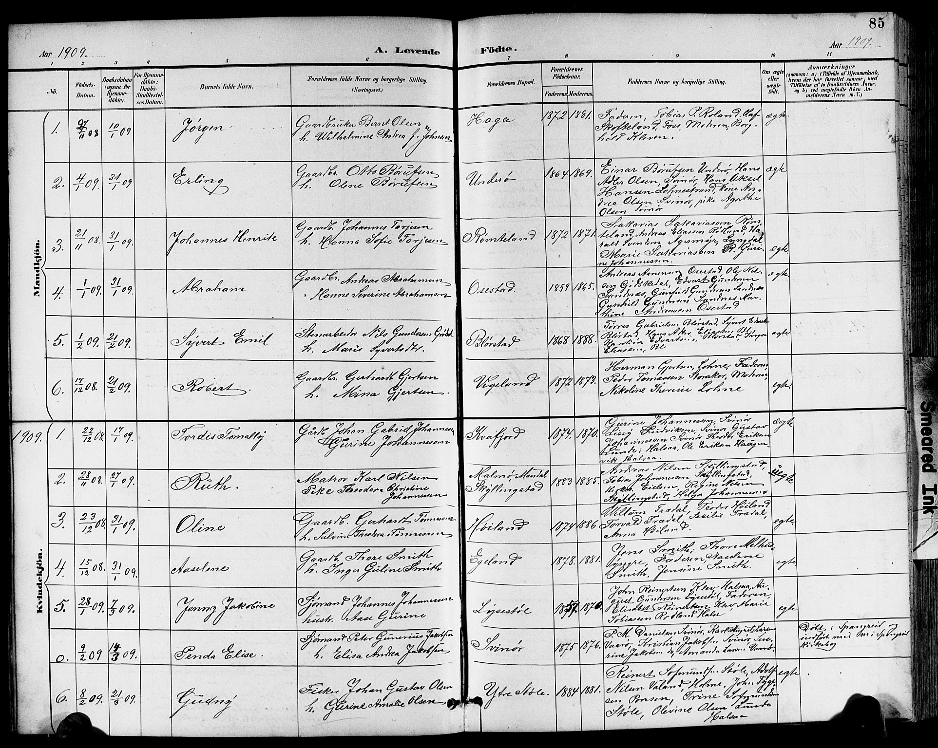 Sør-Audnedal sokneprestkontor, AV/SAK-1111-0039/F/Fb/Fbb/L0006: Klokkerbok nr. B 6, 1893-1915, s. 85