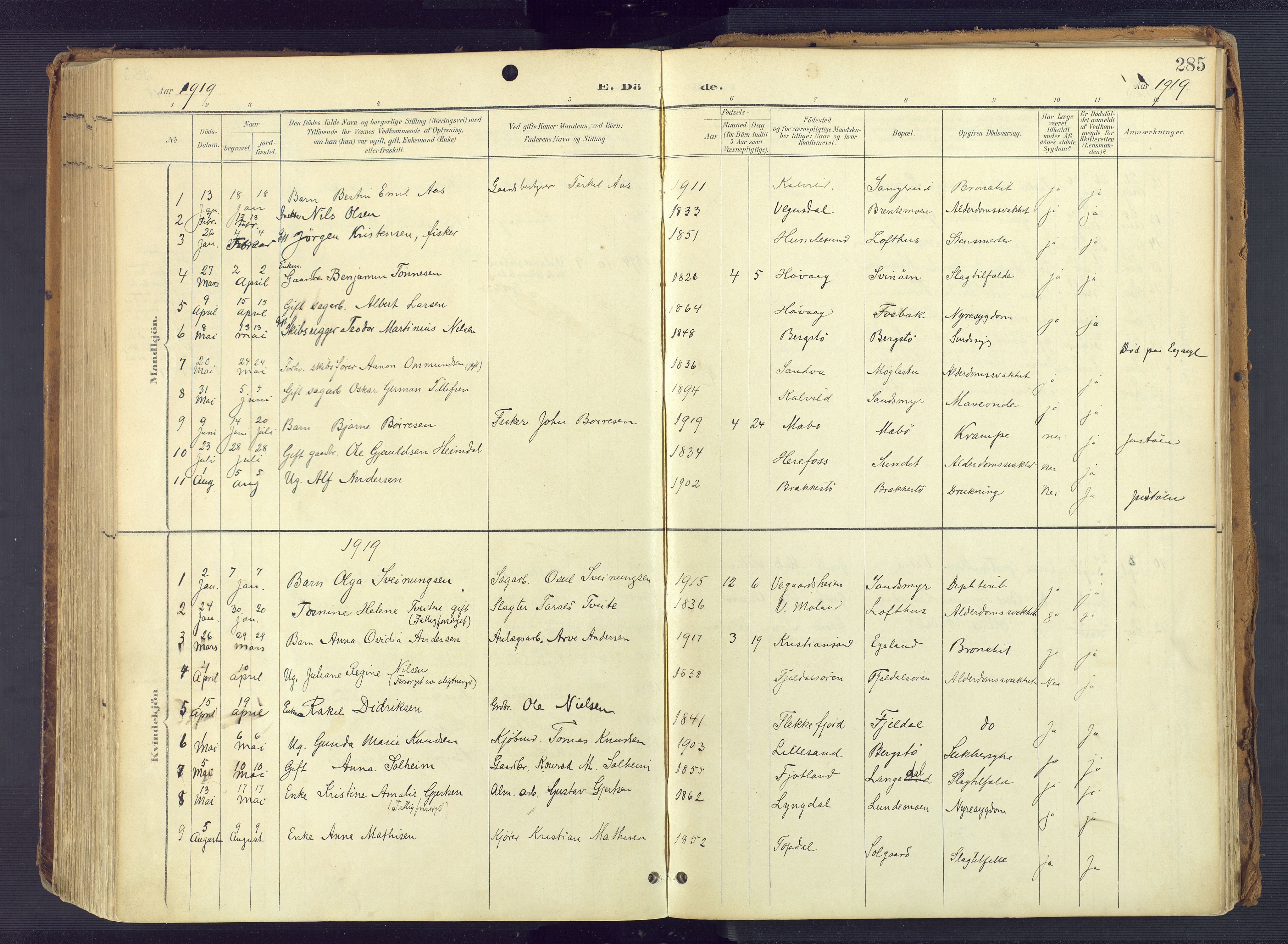 Vestre Moland sokneprestkontor, AV/SAK-1111-0046/F/Fa/Fab/L0010: Ministerialbok nr. A 10, 1900-1926, s. 285