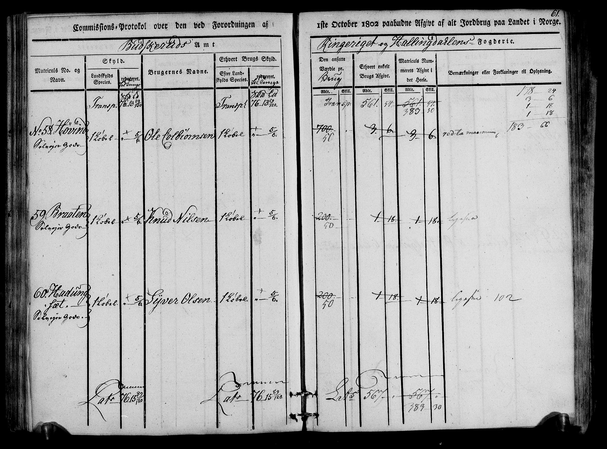 Rentekammeret inntil 1814, Realistisk ordnet avdeling, RA/EA-4070/N/Ne/Nea/L0047: Ringerike og Hallingdal fogderi. Kommisjonsprotokoll for Nes prestegjeld, 1803, s. 63