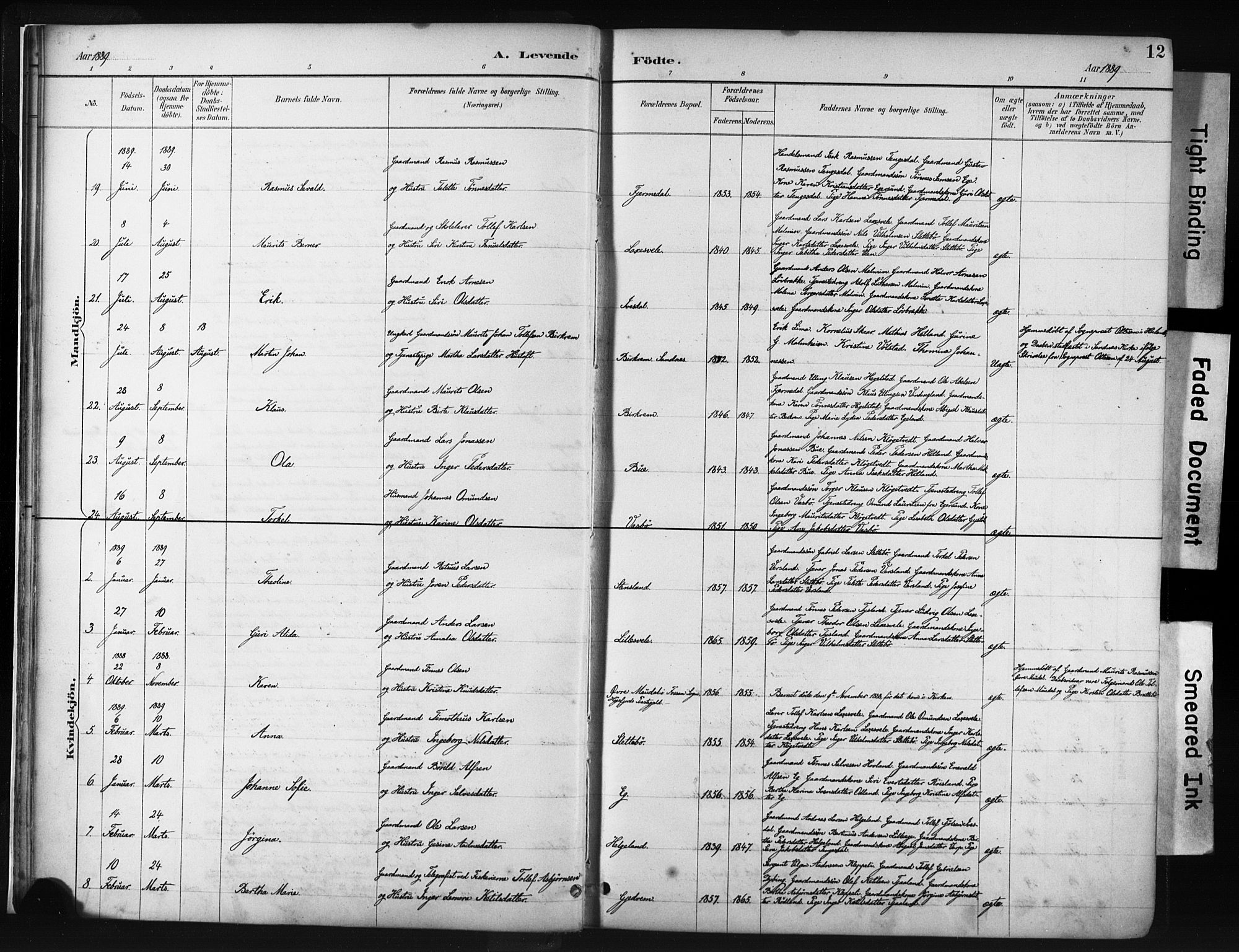 Helleland sokneprestkontor, AV/SAST-A-101810: Ministerialbok nr. A 9, 1887-1908, s. 12