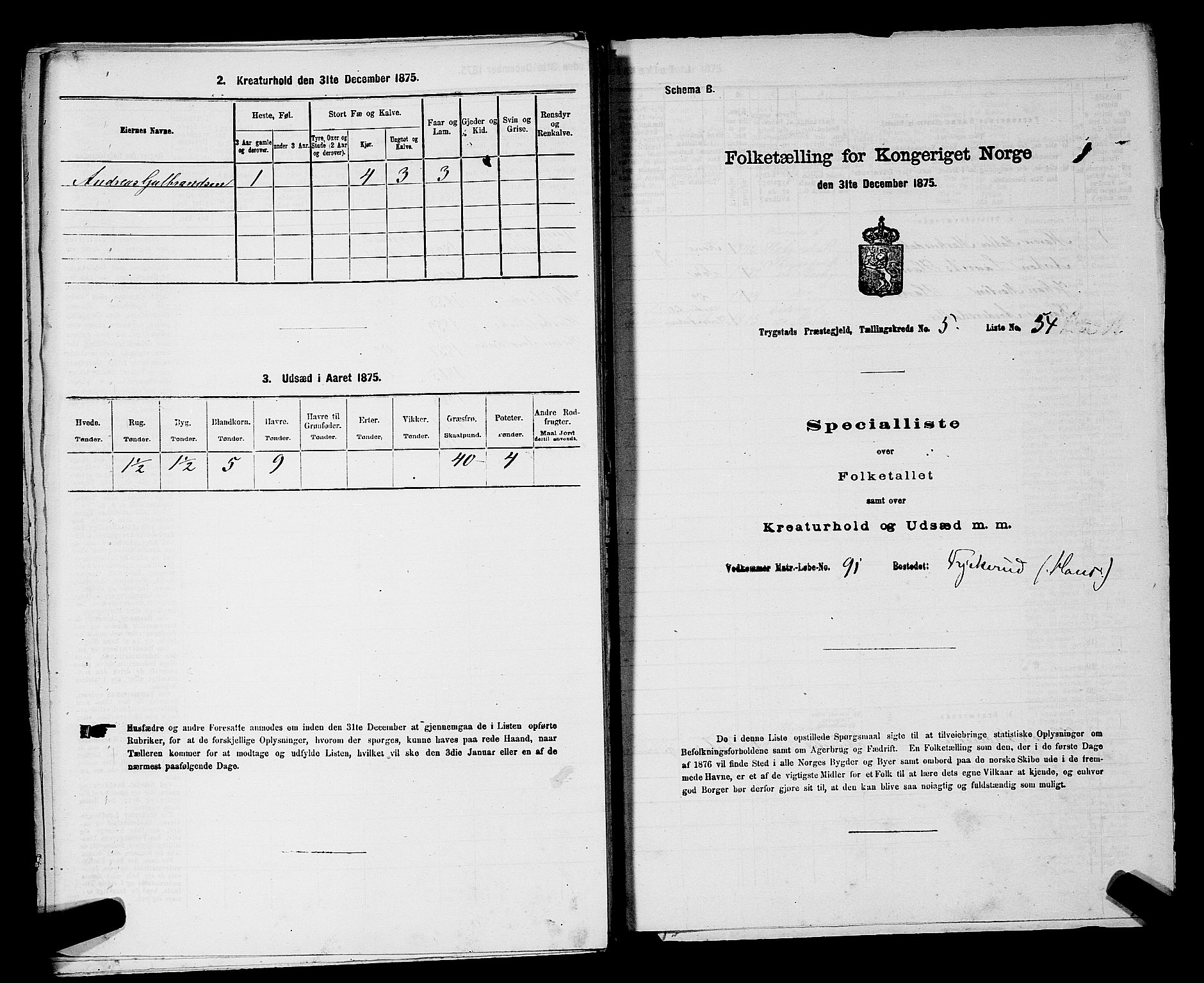 RA, Folketelling 1875 for 0122P Trøgstad prestegjeld, 1875, s. 612