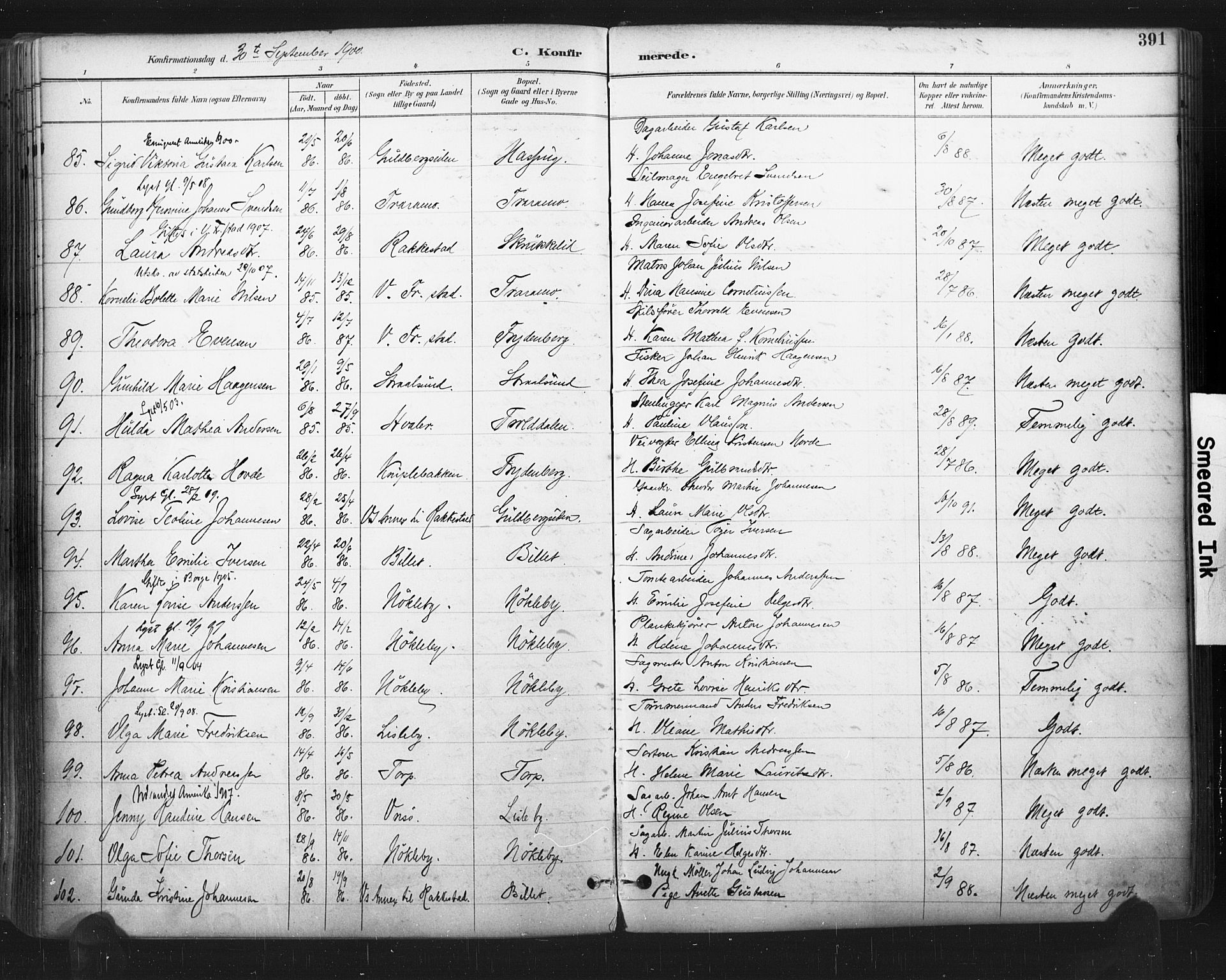 Glemmen prestekontor Kirkebøker, AV/SAO-A-10908/F/Fa/L0013: Ministerialbok nr. 13, 1892-1907, s. 391