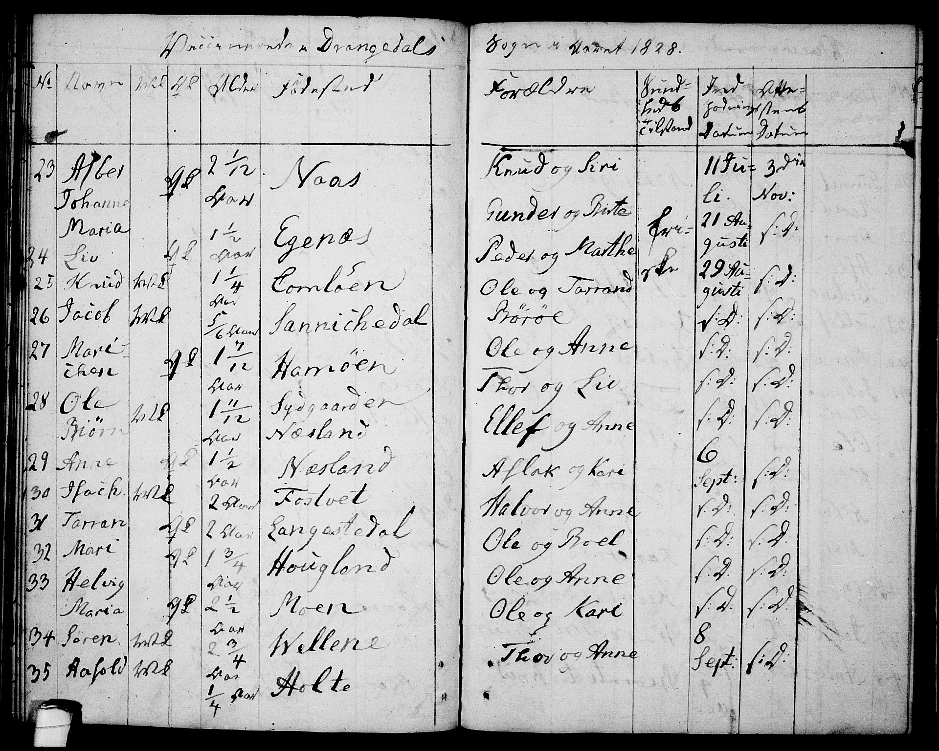Drangedal kirkebøker, AV/SAKO-A-258/F/Fa/L0004: Ministerialbok nr. 4, 1802-1814